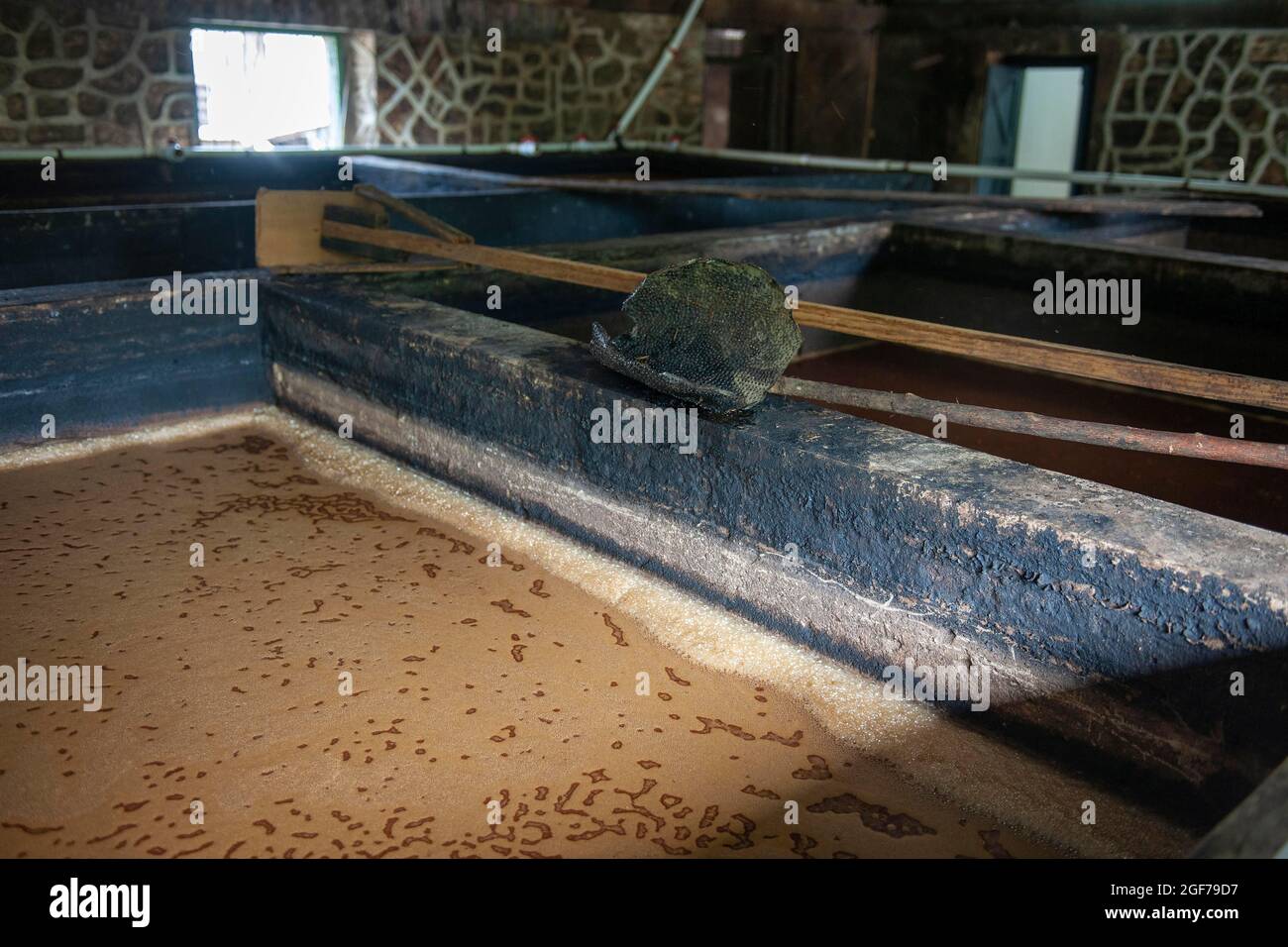 Mash di canna da zucchero per la produzione tradizionale di rum, distilleria River Antoine Rum, San Patrizio, Grenada Foto Stock