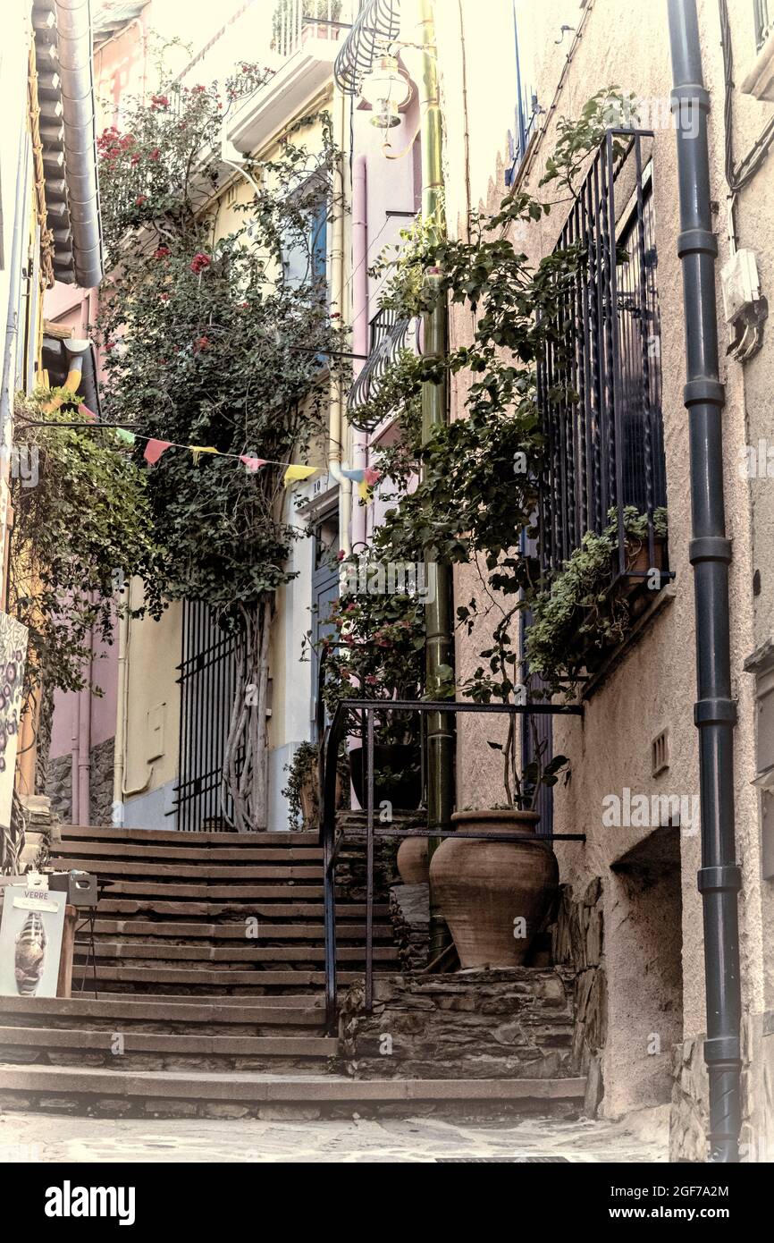 Strade nella città vecchia, Collioure, Pirenei Orientali, Linguadoca-Rossiglione, Francia. Foto Stock