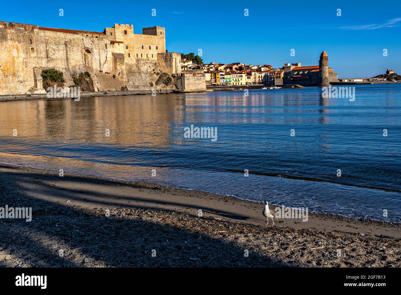 Vista di Collioure (Cullliure in catalano) con il castello e la chiesa, Pirenei Orientali, Francia. Foto Stock