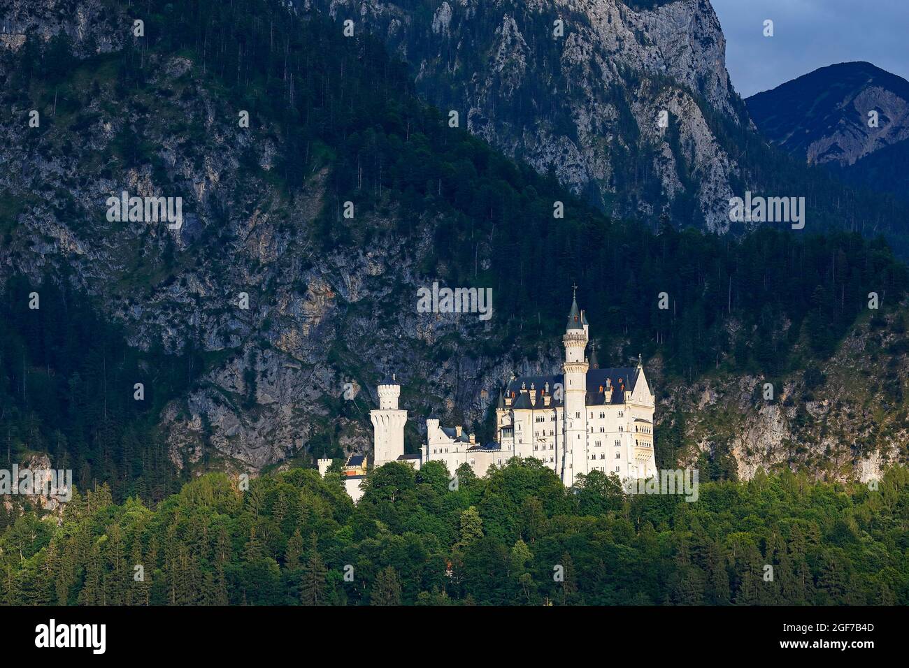 Castello di Neuschwanstein alla luce della sera, castello fiabesco, Schwangau, Koenigswinkel, strada romantica, Fuessen, Ostallgaeu, Allgaeu, Swabia, Baviera Foto Stock