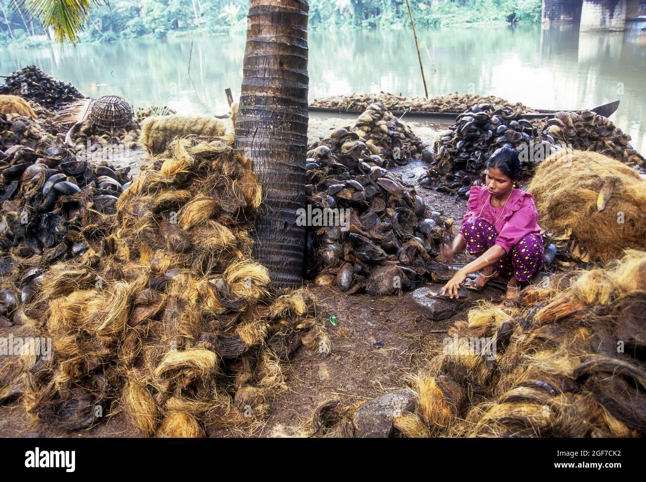 Battendo la buccia di cocco, Kerala, India Foto Stock