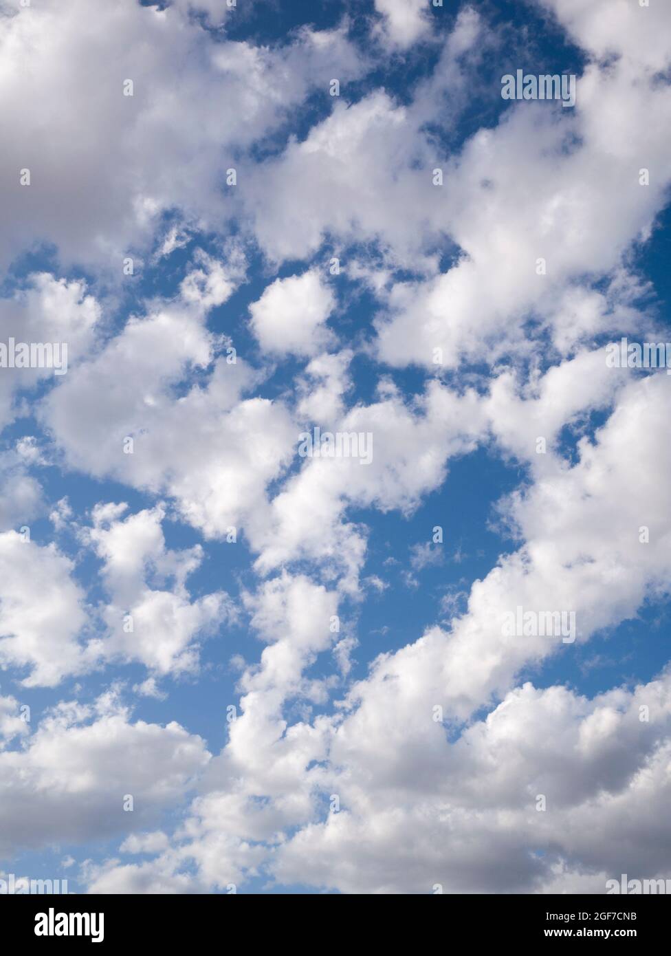 Bianco soffio soleggiato Altocumulus castellanus nuvole contro un cielo blu. Foto Stock
