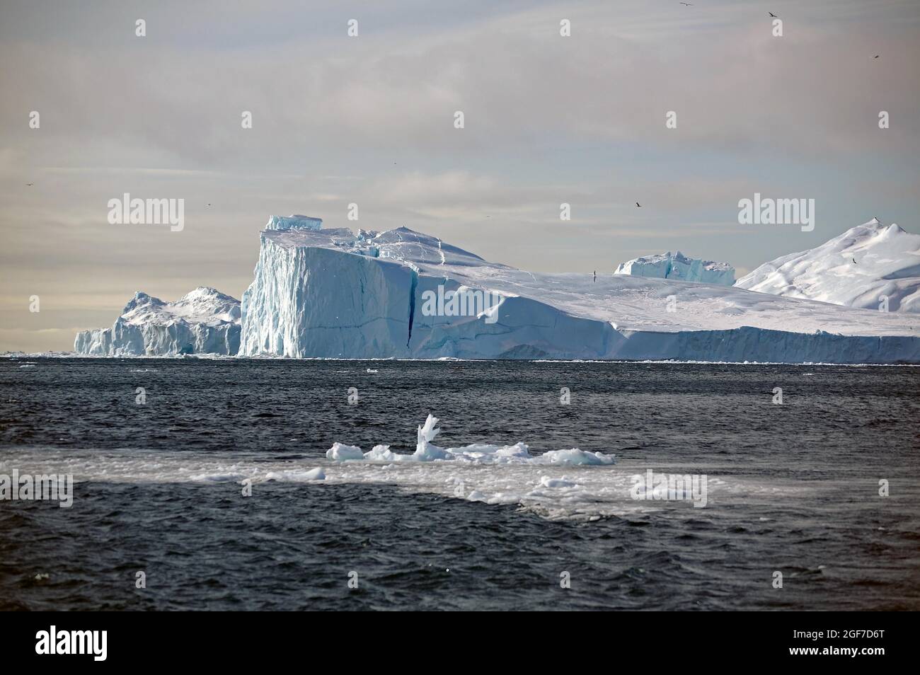 Singoli pezzi di ghiaccio di fronte agli iceberg in mare, inverno, aprile, Disko Bay, Ilulissat, Groenlandia, Danimarca Foto Stock
