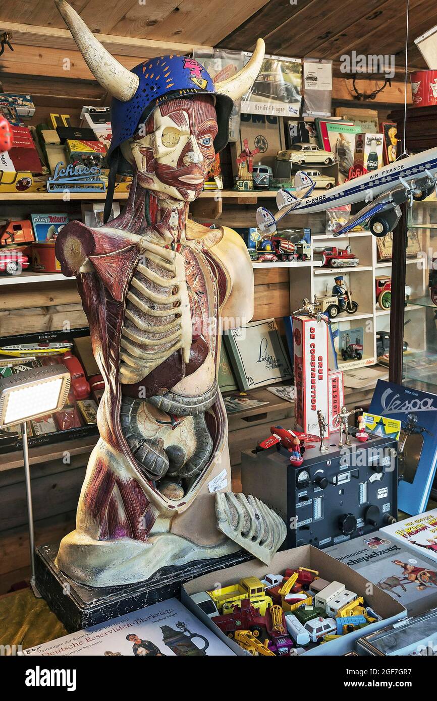 Modello umano con la pelle e la vita interiore rimosso, Auer Dult, Monaco, Baviera, Germania Foto Stock