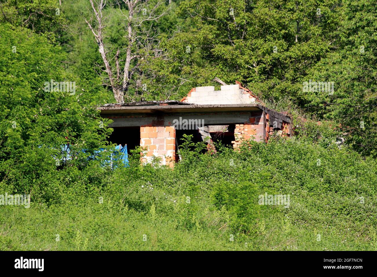 Edificio rosso incompiuto blocchi suburbani casa di famiglia distrutta durante la guerra con finestre mancanti e lasciato abbandonato nella foresta locale Foto Stock