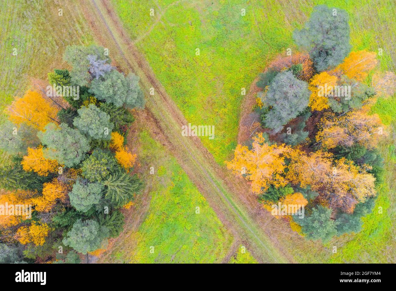 Strada sterrata tra campi e aree forestali, in autunno. Vista aerea Foto Stock