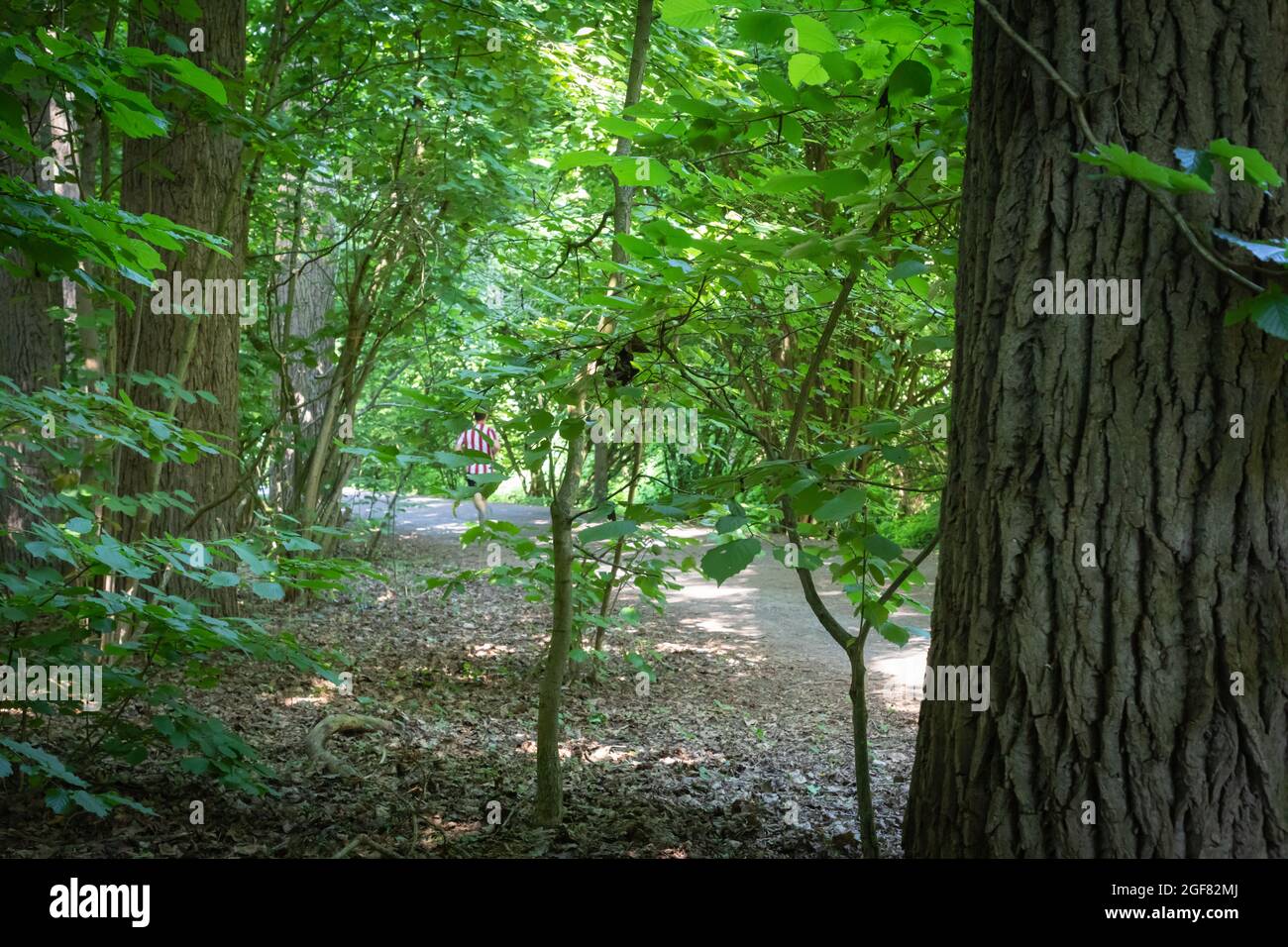 Sentiero lungo il fiume Emscher, zona della Ruhr, Germania Foto Stock