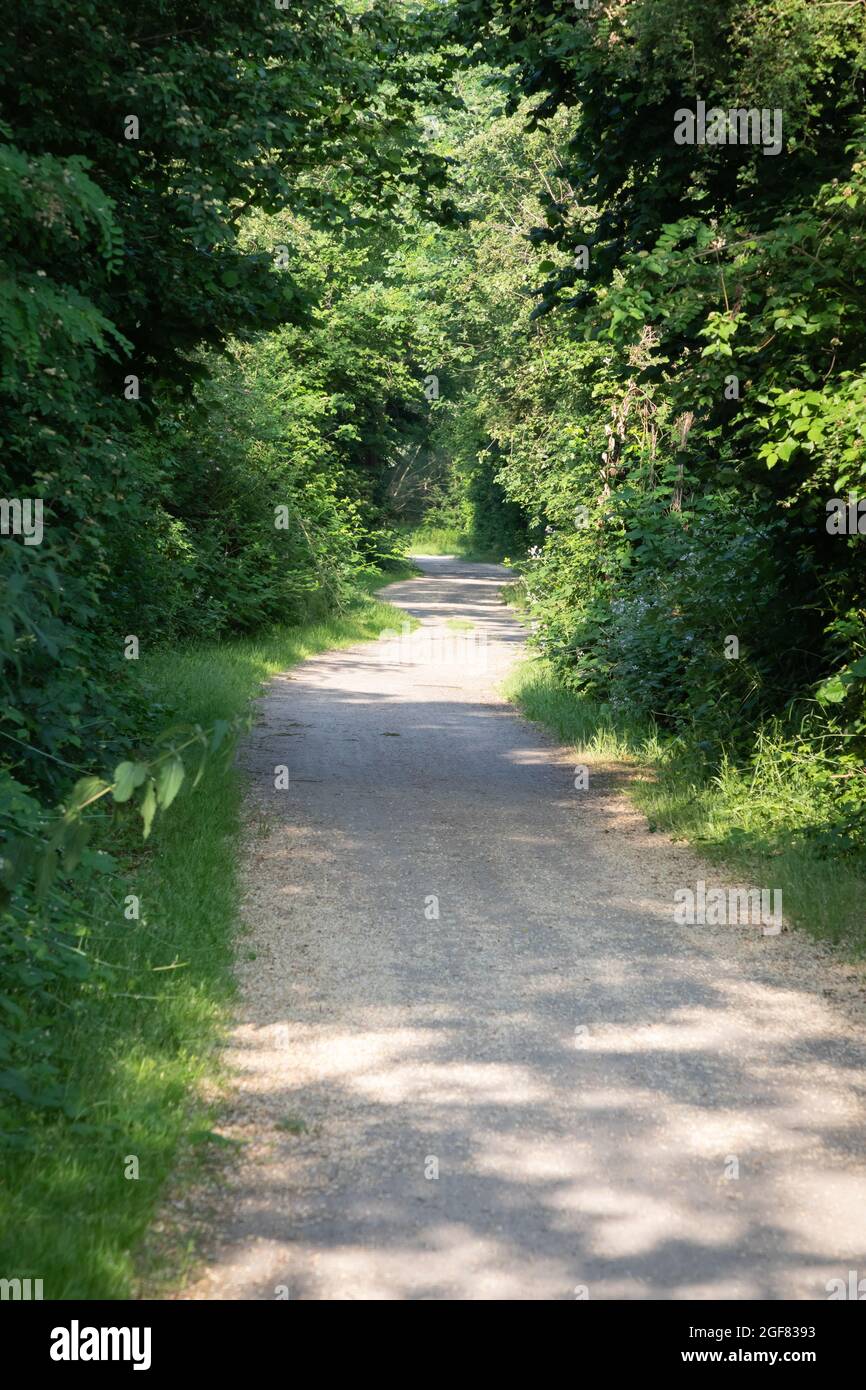 Sentiero lungo il fiume Emscher, zona della Ruhr, Germania Foto Stock