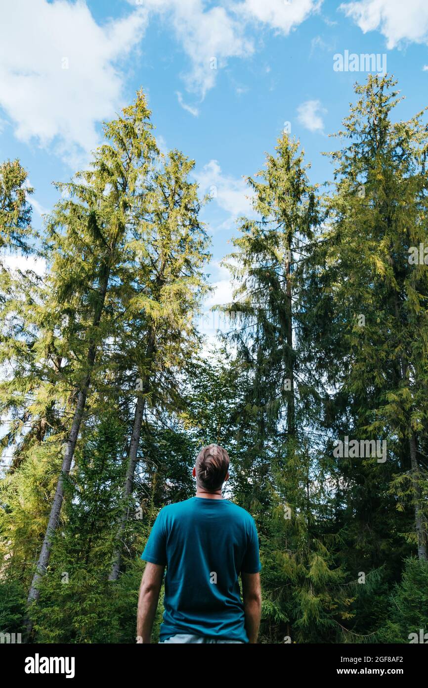 Uomo irriconoscibile nella foresta contro conifere e cielo blu. Escursioni e unità di persone con la natura. Giovane uomo caucasico vista dal retro nel parco Foto Stock