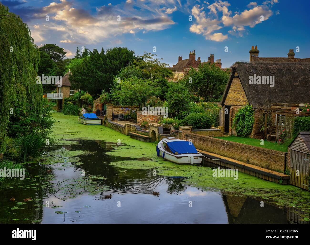 Bellissimi cottage lungo il fiume Great Ouse a Godmanchester. Preso dal Ponte Cinese, che collega i popolari Watermeadows alla città Foto Stock