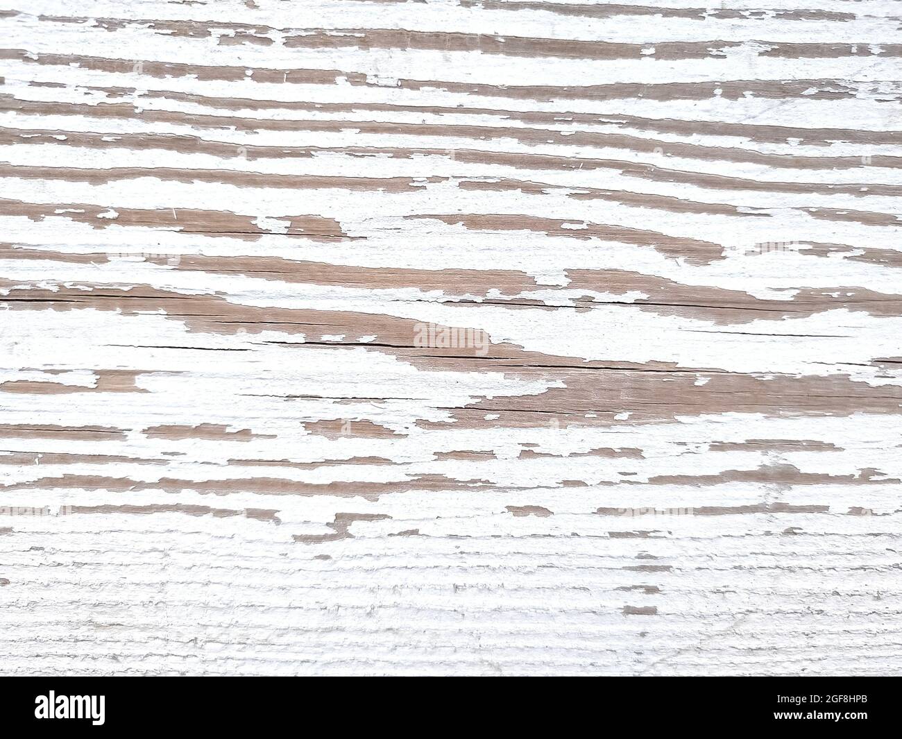 Tessuto bianco di legno stagionato. Primo piano Foto Stock