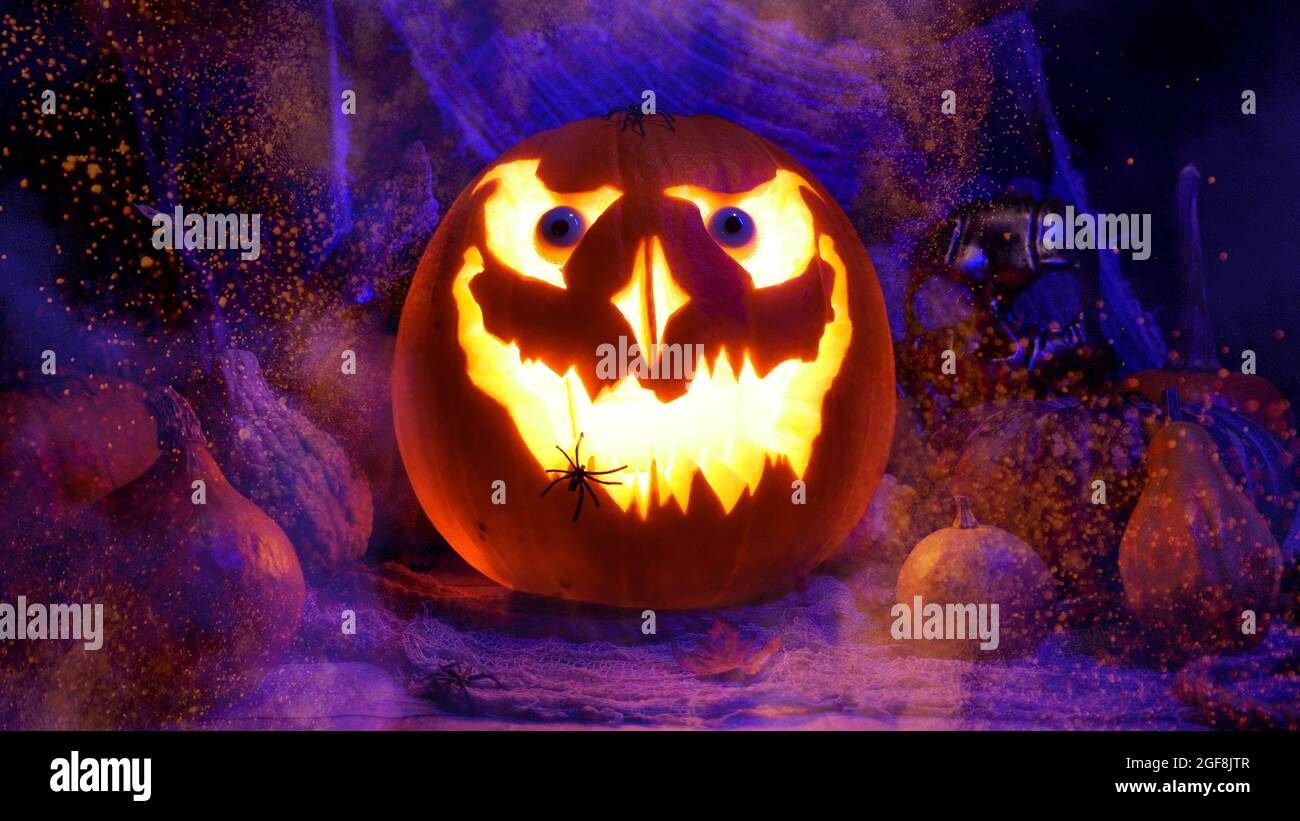 Halloween zucca Jack o lanterna evidenziata. Zucche di Halloween su sfondo spettrale, nebbia viscida. Vacanze di ottobre concetto. Perfetta zucca intagliata e. Foto Stock Halloween zucca Jack o lanterna evidenziata. Zucche di Halloween su sfondo spettrale, nebbia viscida. Vacanze di ottobre concetto. Perfetta zucca intagliata e. Foto Stock
