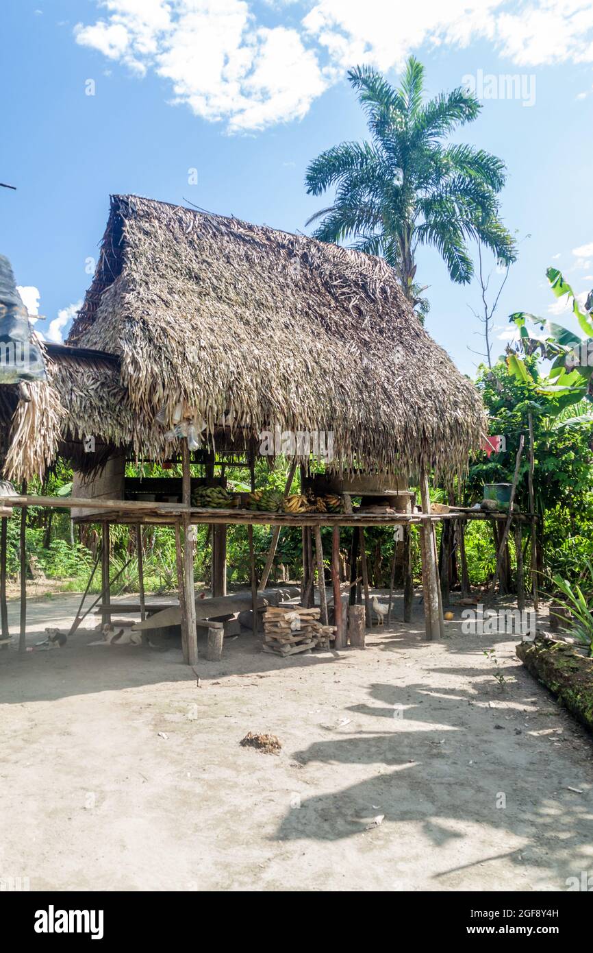 Casa tradizionale nella giungla peruviana Foto Stock