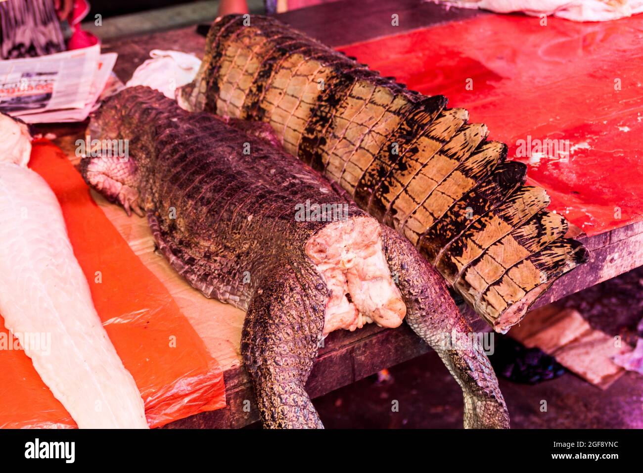 Carne di caimano in vendita al mercato di Belen a Iquitos Foto Stock