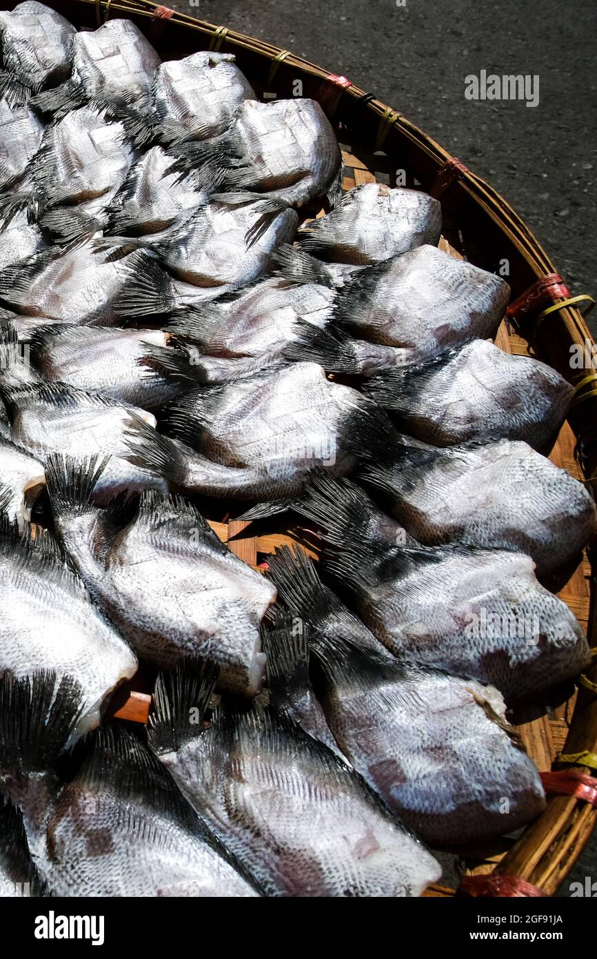 Il pesce Gourami salato si adagiò sul cestino al sole per asciugarsi in modo naturale. Vista dall'alto. Disposizione piatta. Primo piano. Messa a fuoco selettiva. Foto Stock