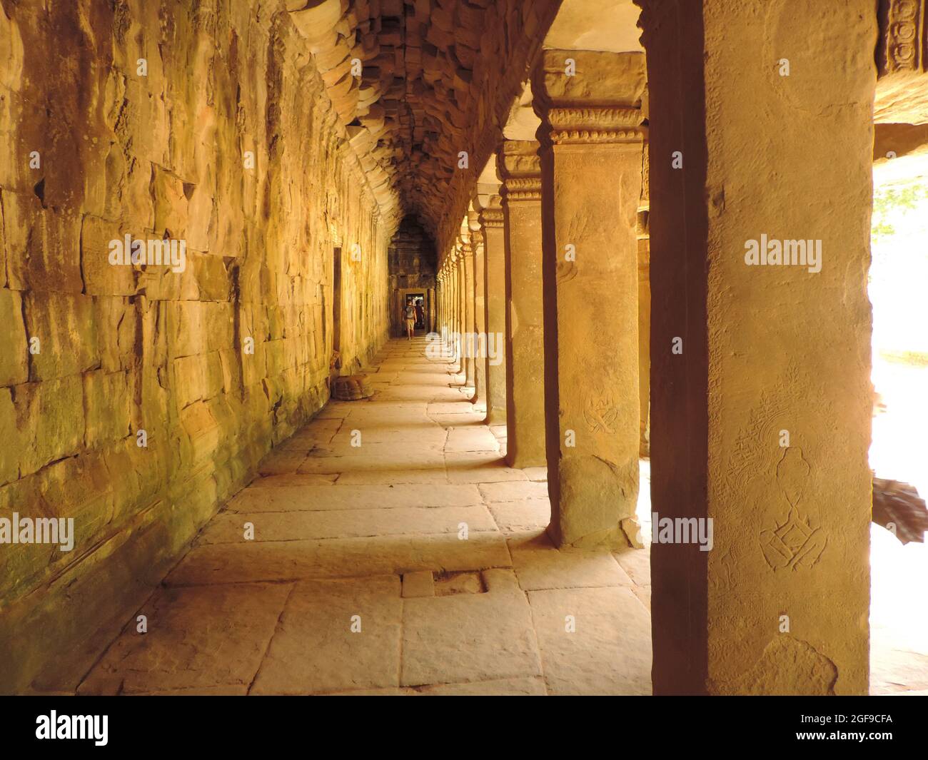 tempio di angkor wat in cambogia Foto Stock