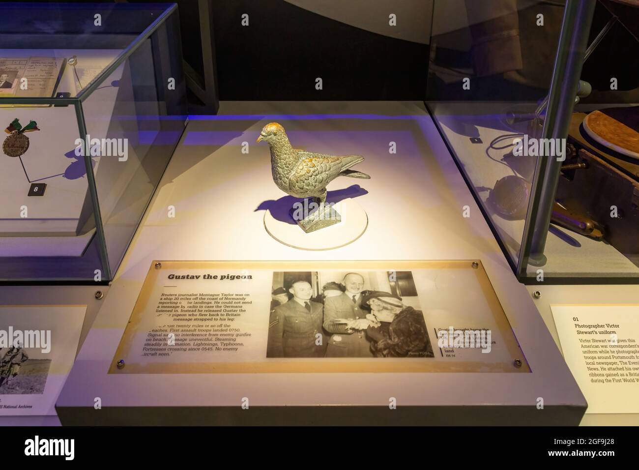 08-24-2021 Portsmouth, Hampshire, Regno Unito, UNA mostra del museo che mostra Gustav il Pigeon un piccione del vettore ha dato i premi per il coraggio nella seconda guerra mondiale Foto Stock