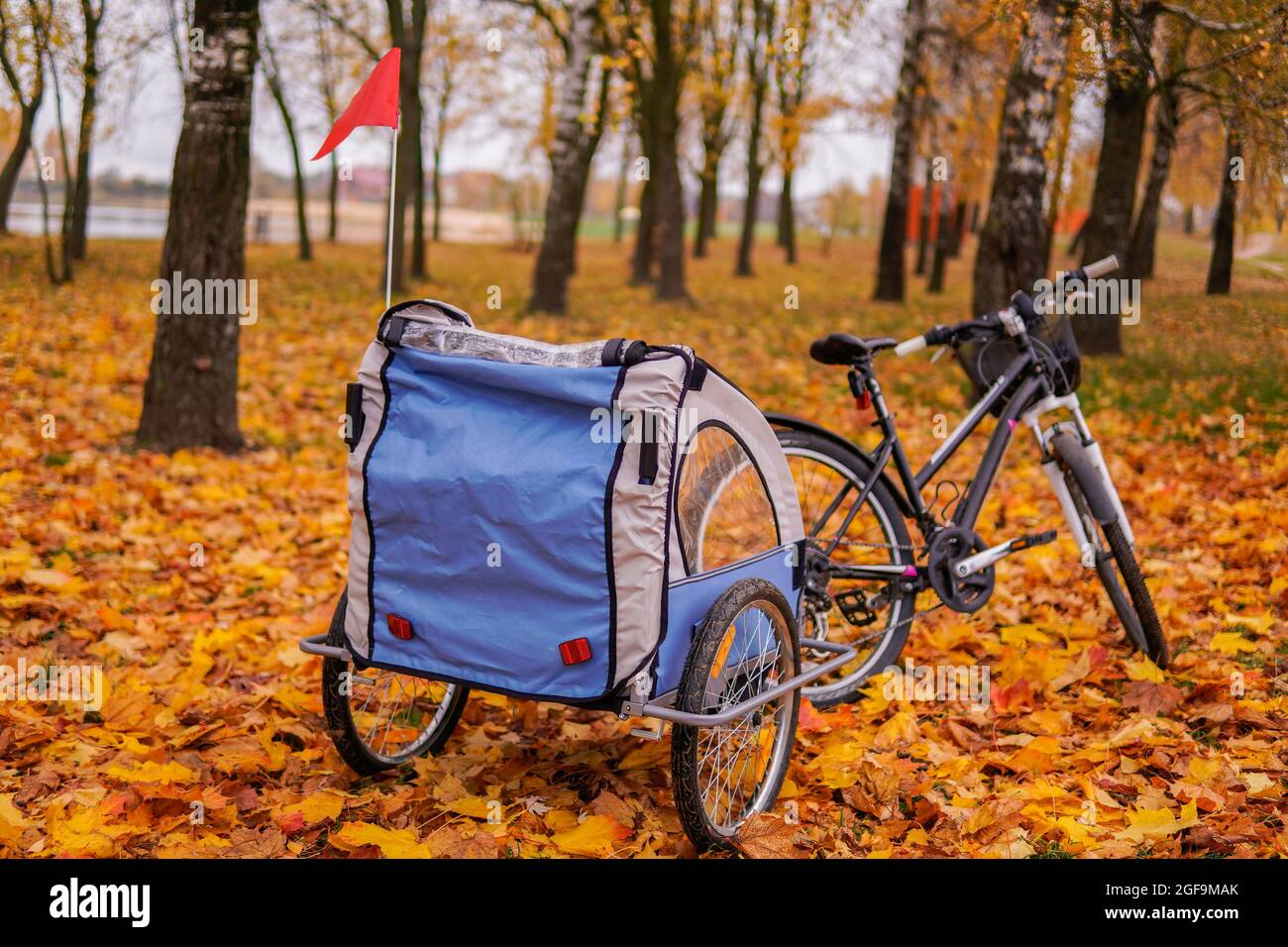 Bicicletta con rimorchio per bambini in autunno Foto Stock