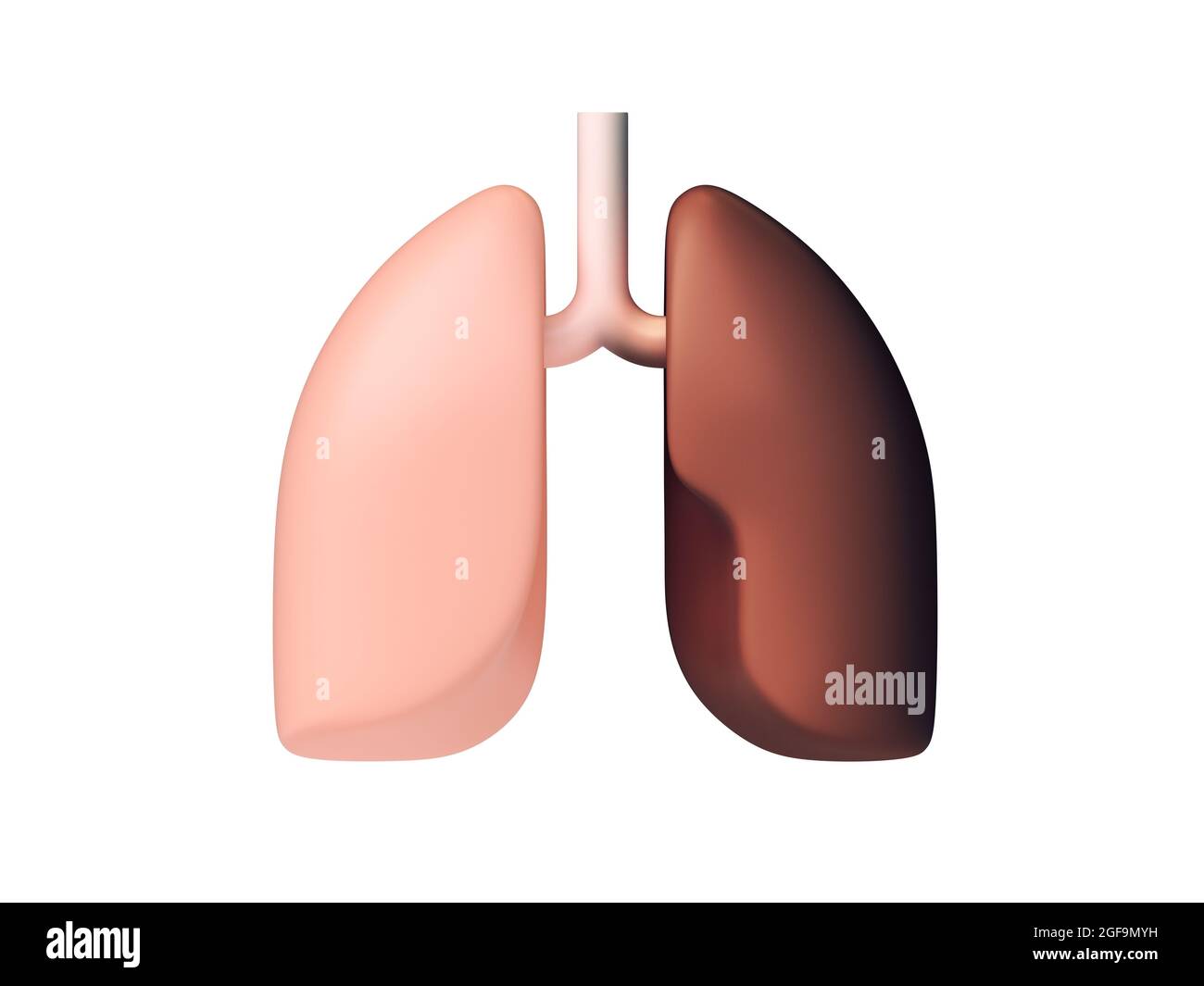 illustrazione 3d di polmoni umani sani e malsani, concetto di dipendenza da fumo. Ispirato al design piatto Foto Stock