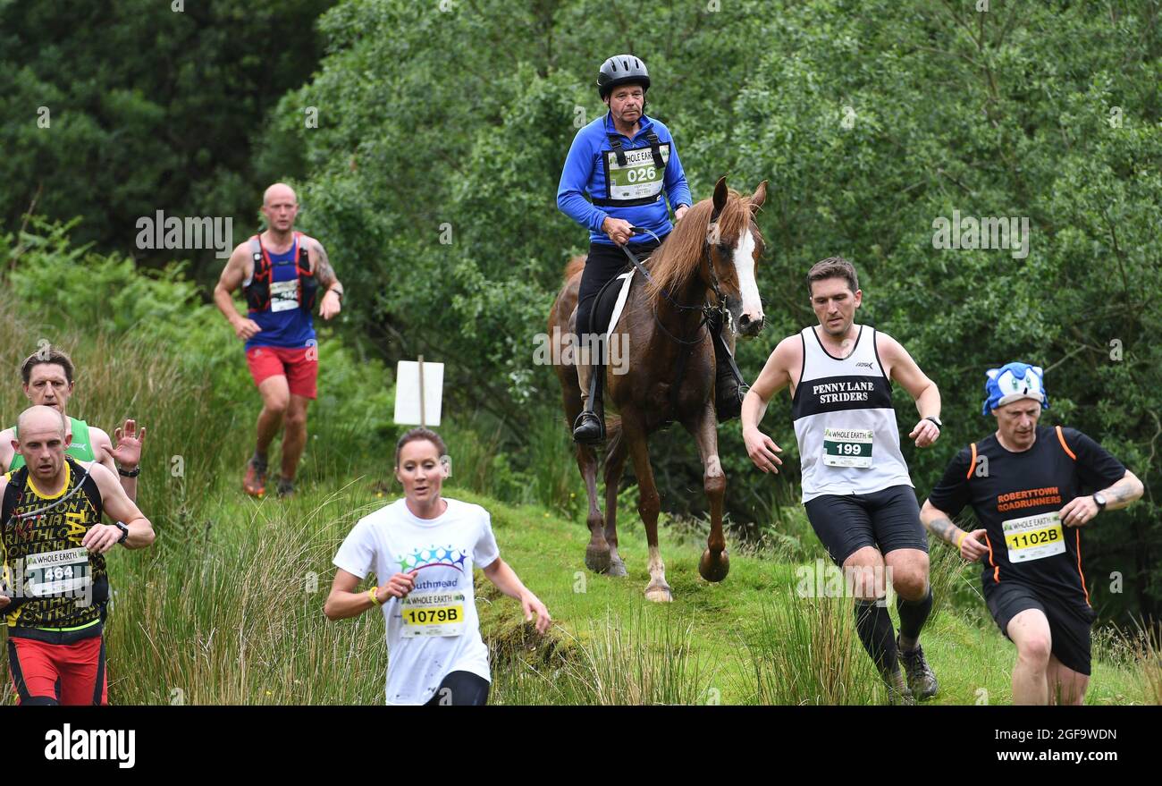 Whole Earth Man v Horse endurance Race 2016 Llanwrtyd Wells, Powys. I corridori gareggiano contro i cavalli in un evento di 22 miglia di cross country. PIC Sam Bagnall Foto Stock
