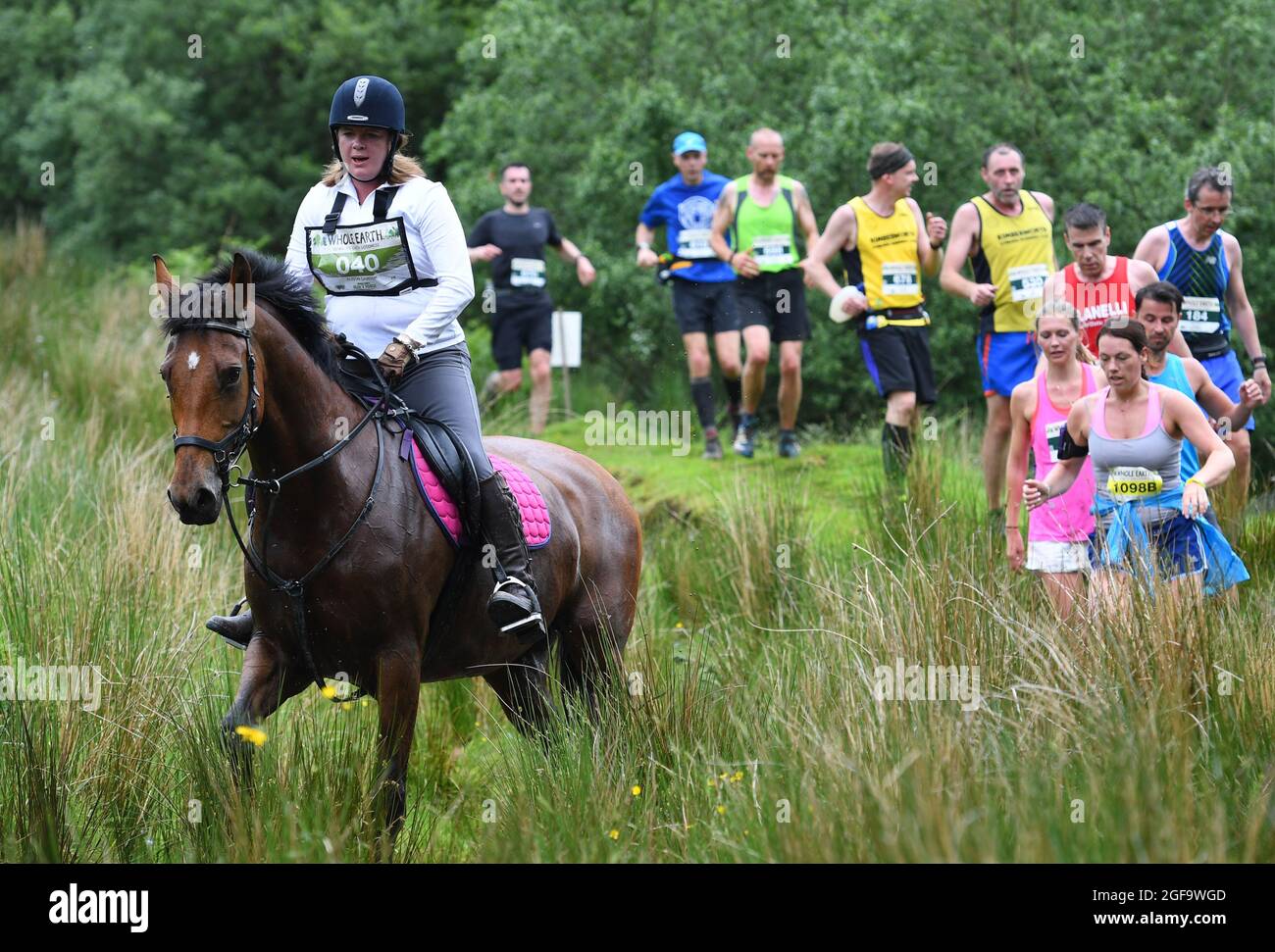 Whole Earth Man v Horse endurance Race 2016 Llanwrtyd Wells, Powys. I corridori gareggiano contro i cavalli in un evento di 22 miglia di cross country. PIC Sam Bagnall Foto Stock