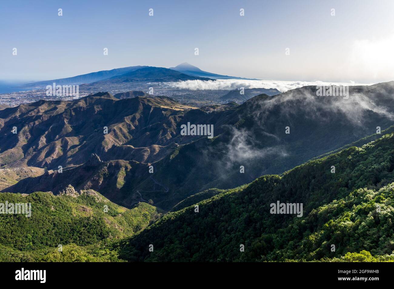 Paesaggio di montagna. Vista dalla piattaforma di osservazione: Mirador Pico del Ingles. Sullo sfondo il vulcano Teide. Tenerife, Isole Canarie, Spagna. Foto Stock