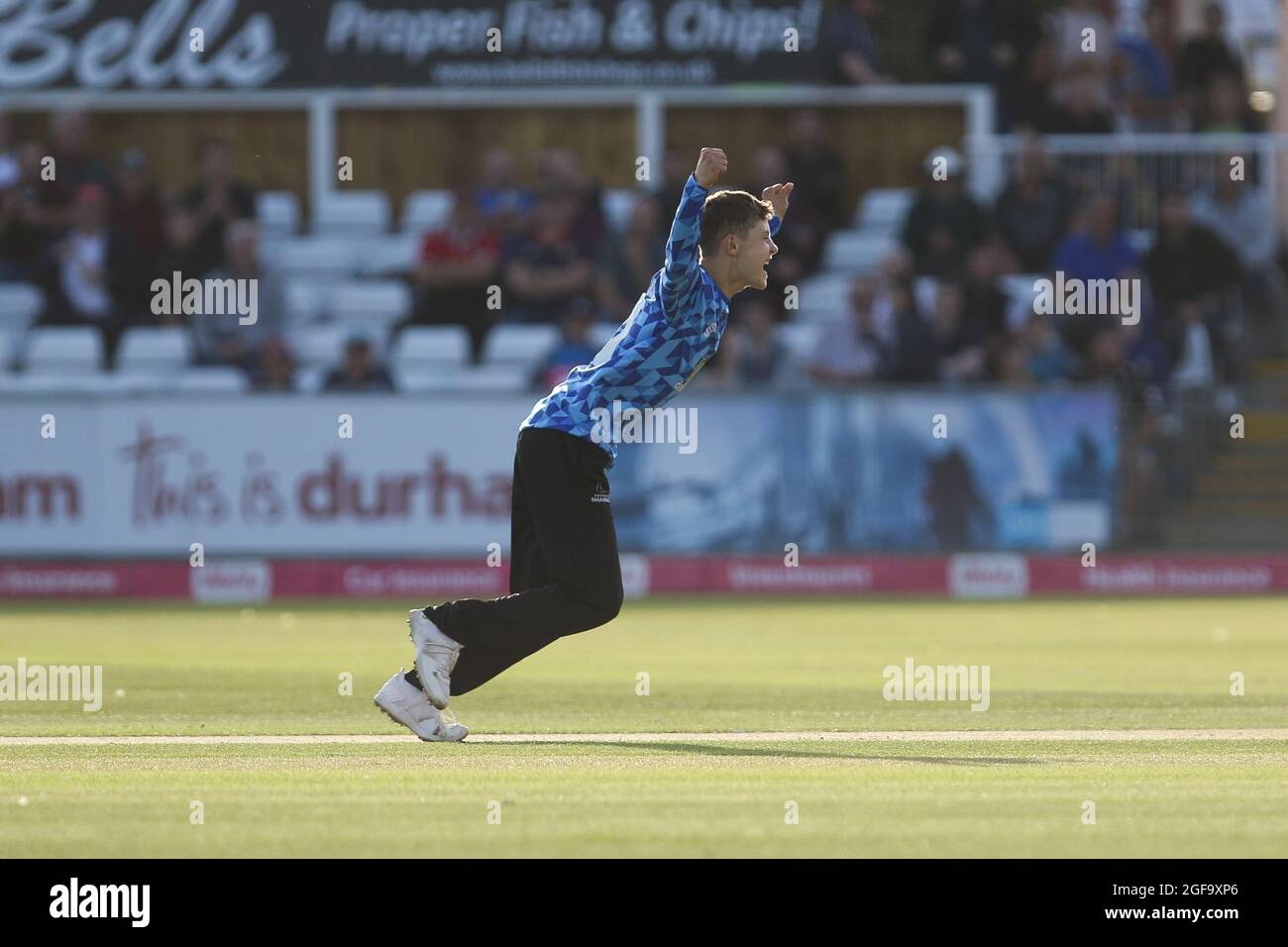 CHESTER LE STREET, REGNO UNITO. IL 24 AGOSTO Archie Lenham of Sussex celebra un wicket durante la partita di Vitaliality T20 Blast tra lo Yorkshire County Cricket Club e il Sussex County Cricket Club presso Emirates Riverside, Chester le Street martedì 24 agosto 2021. (Credit: Will Matthews | MI News) Credit: MI News & Sport /Alamy Live News Foto Stock