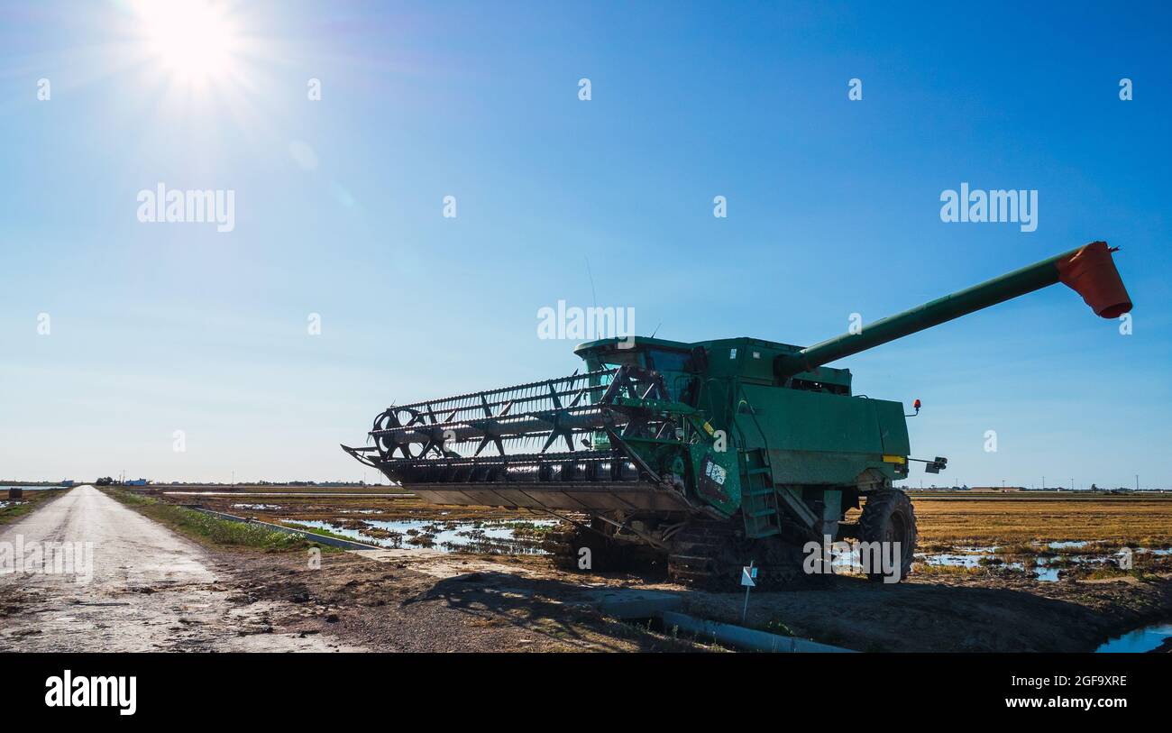 Mietitrebbia parcheggiata sul lato della strada dopo la raccolta del riso maturo. Concetto di agricoltura Foto Stock