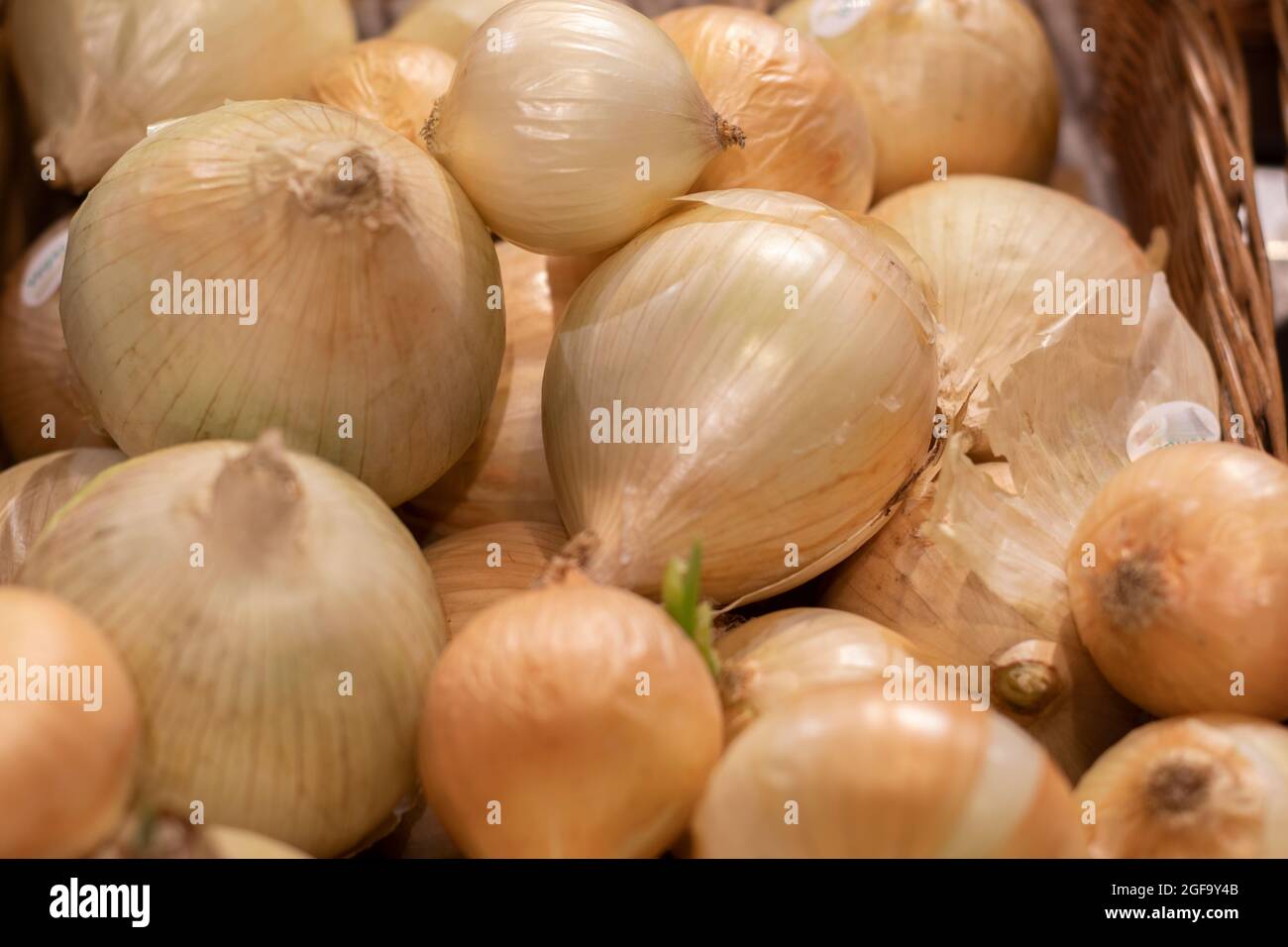 Un cestino di cipolle intere, come sfondo. Foto Stock