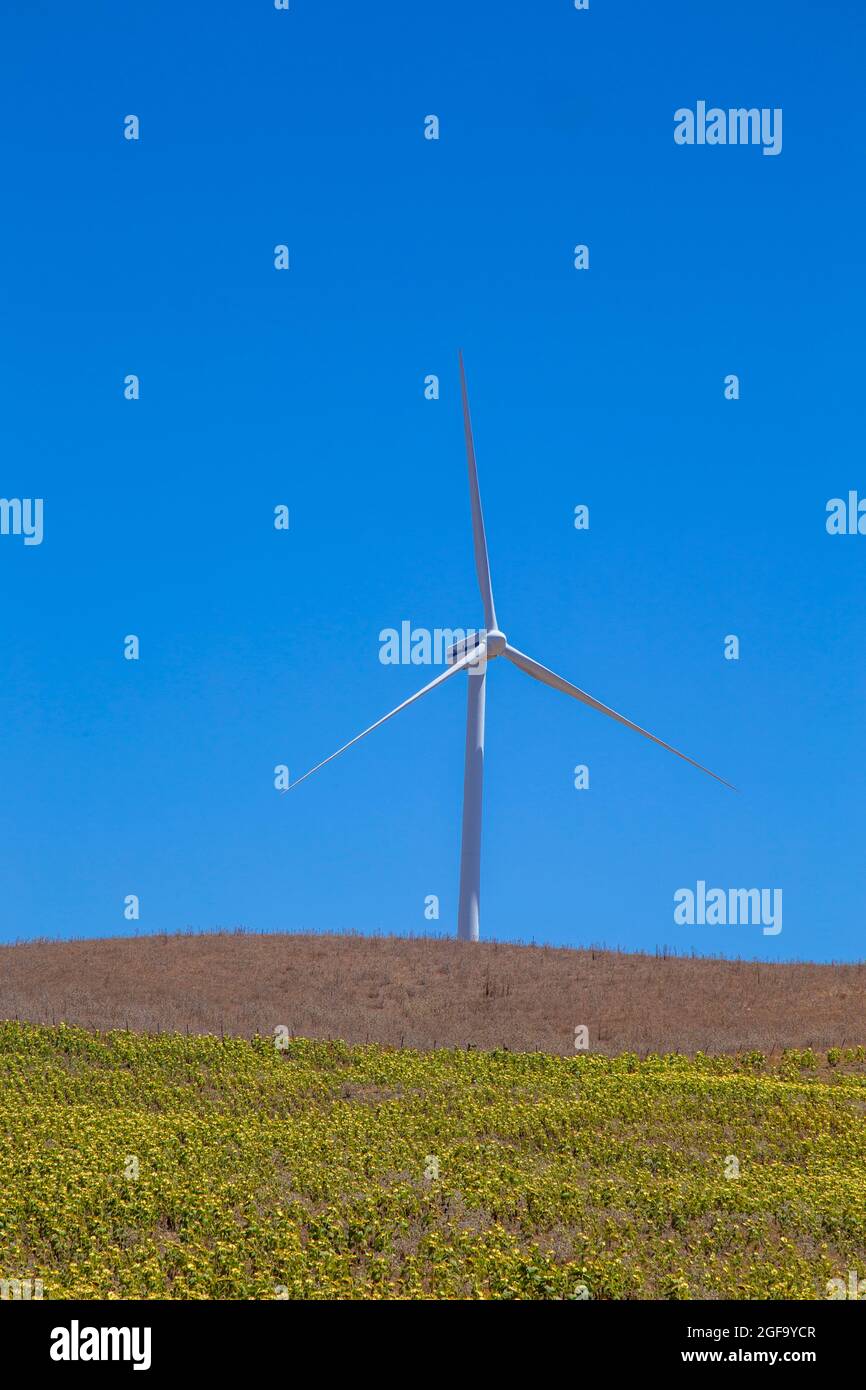 Mulini a vento per creare energia rinnovabile in campi agricoli Foto Stock