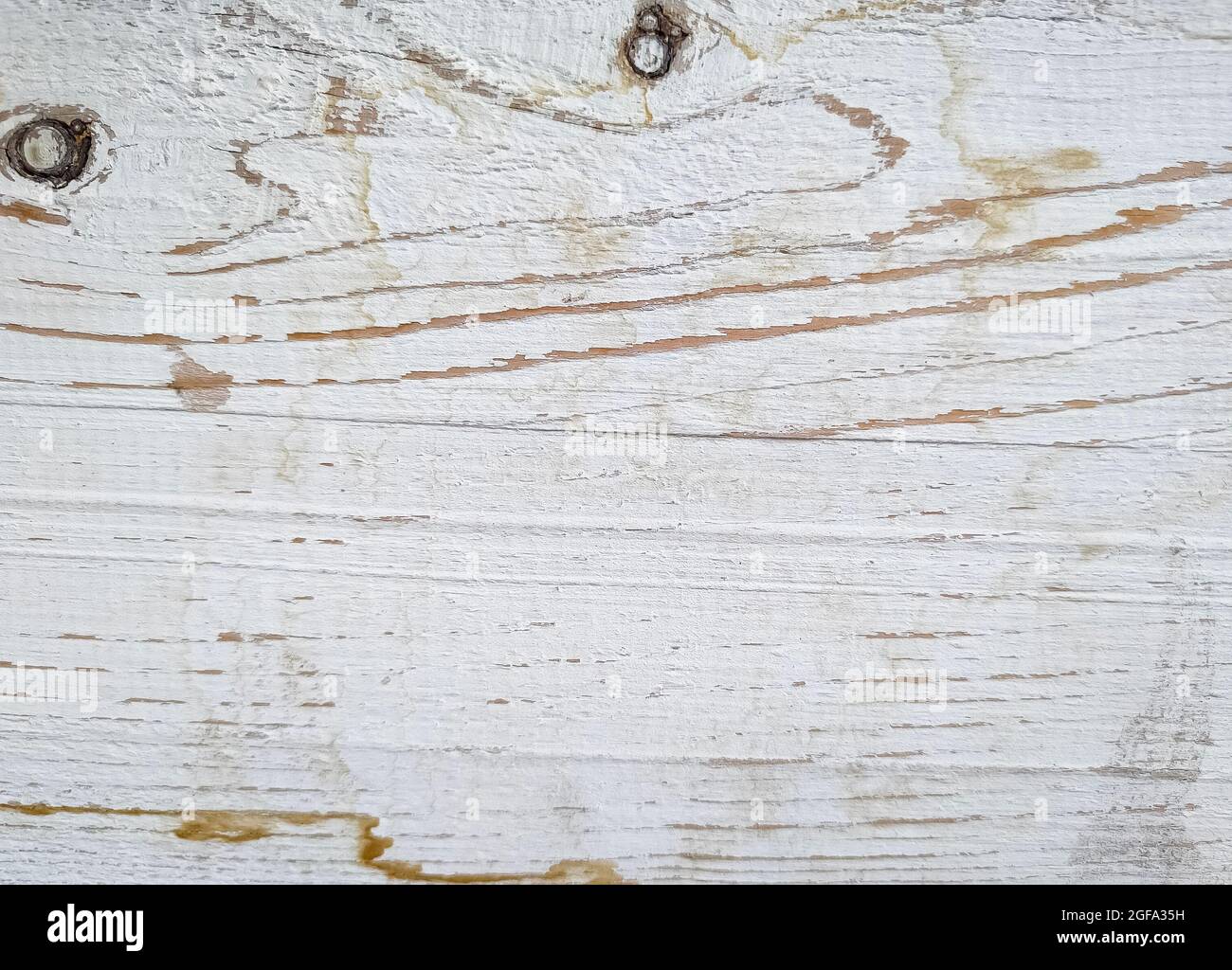 Tessuto bianco di legno stagionato. Primo piano Foto Stock