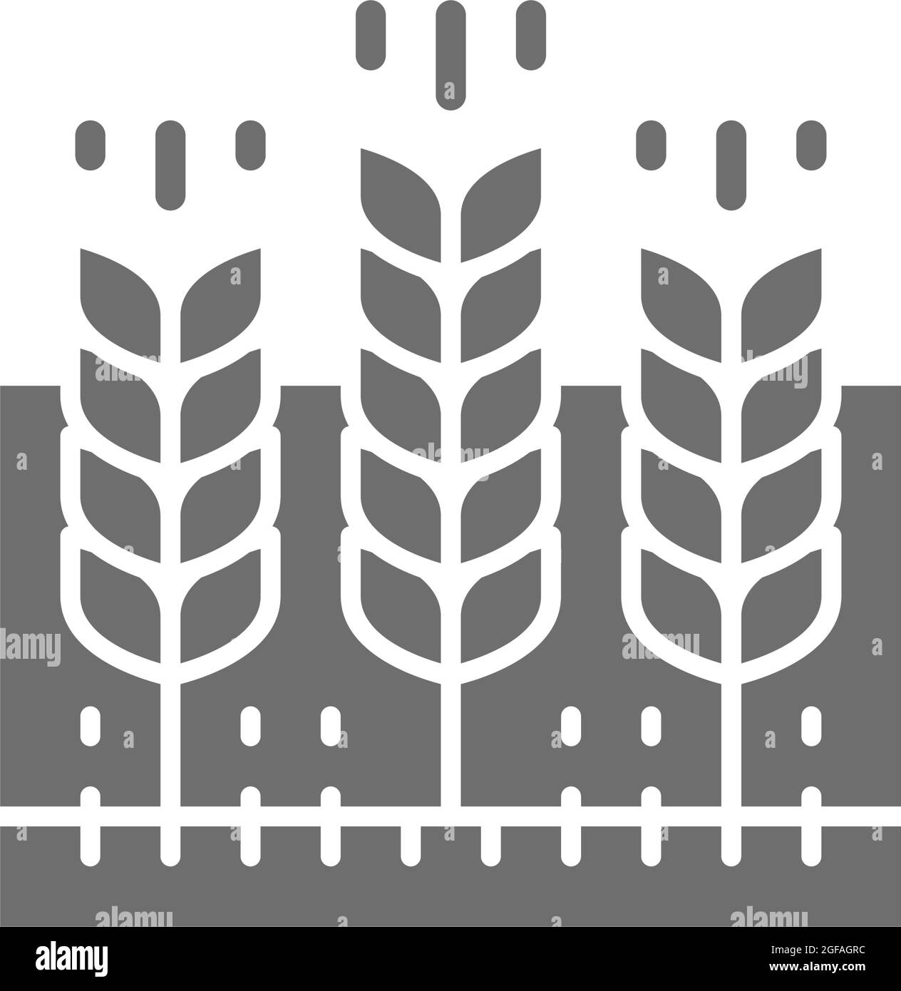 Campo di grano, paesaggio agricolo, terreno agricolo icona grigia. Illustrazione Vettoriale