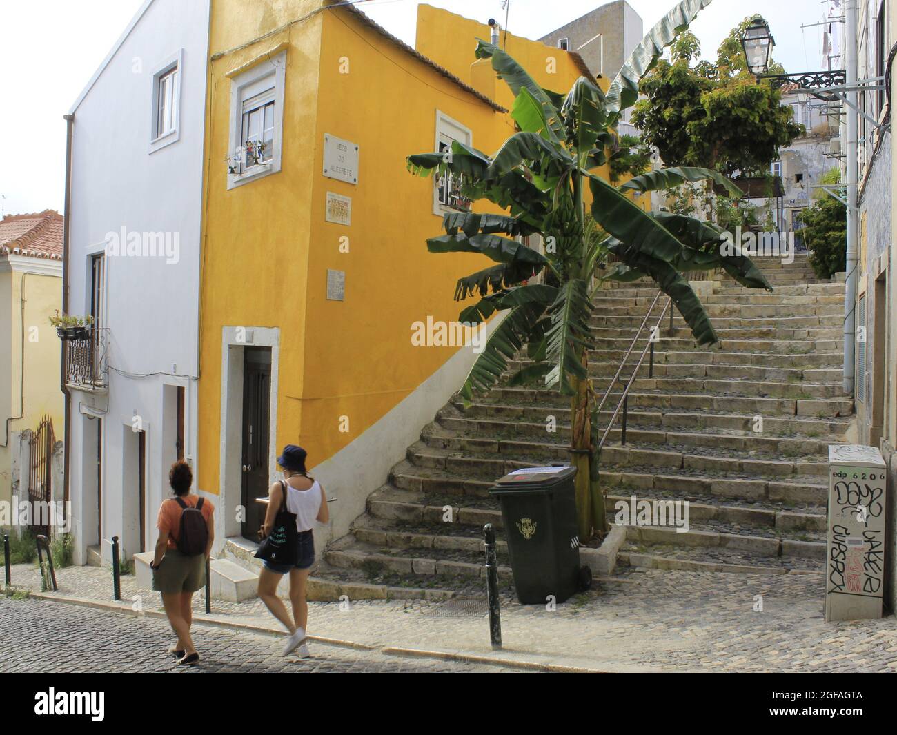 Lisboa, Portogallo. 24 agosto 2021. (INT) Vista di Beco do Allegrete a Lisbona. 24 agosto 2021, Lisbona, Portogallo: Vista da Beco do Allegrete, che ha già vinto il premio per la strada più fiorita di Lisbona, Portogallo, Martedì (24) (Credit Image: © Edson De Souza/TheNEWS2 via ZUMA Press Wire) Foto Stock