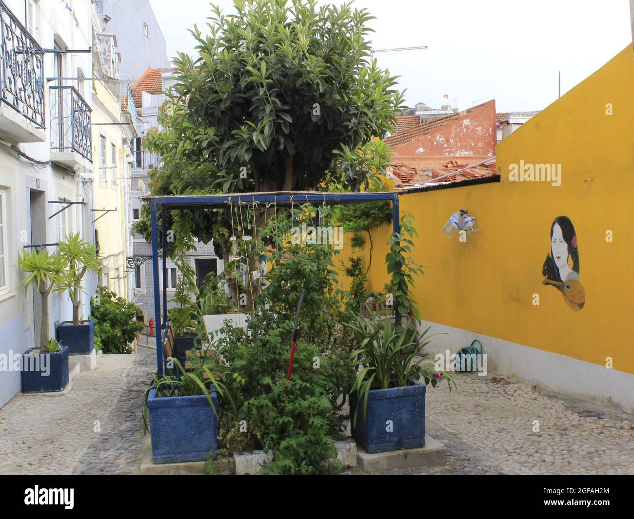 Lisboa, Portogallo. 24 agosto 2021. (INT) Vista di Beco do Allegrete a Lisbona. 24 agosto 2021, Lisbona, Portogallo: Vista da Beco do Allegrete, che ha già vinto il premio per la strada più fiorita di Lisbona, Portogallo, Martedì (24) (Credit Image: © Edson De Souza/TheNEWS2 via ZUMA Press Wire) Foto Stock