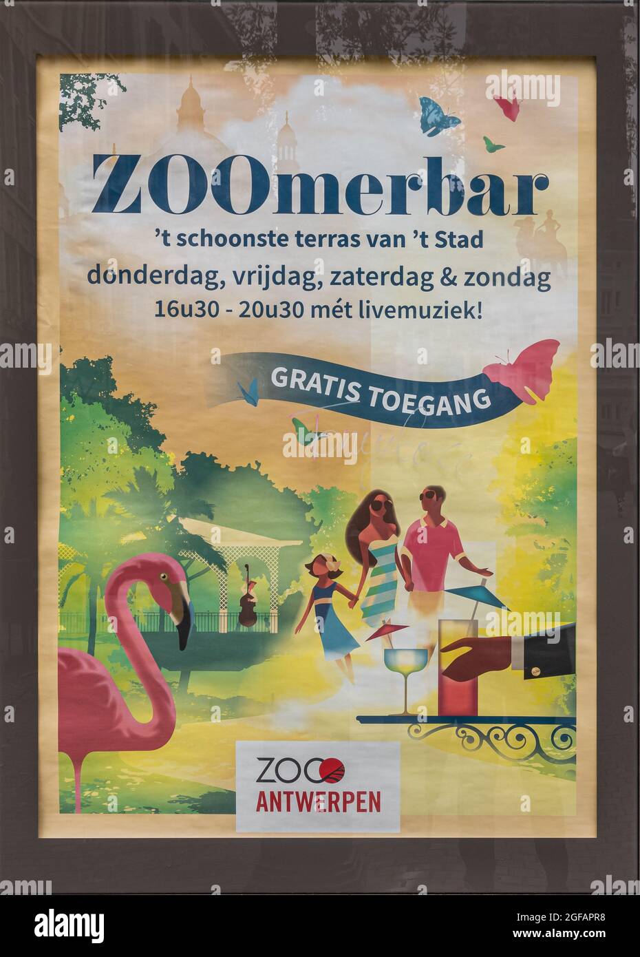 Antwerpen, Belgio - 1 agosto 2021: Poster colorato promuove il bar all'aperto allo zoo. Disegno di famiglia, musicista, e fenicottero om verde, giallo Foto Stock