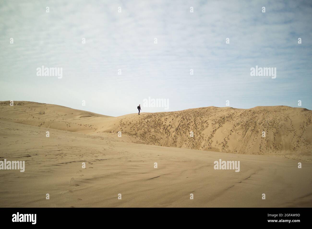 Lone figura (uomo) in piedi sulla cima di grandi dune di sabbia durante il giorno d'inverno Foto Stock