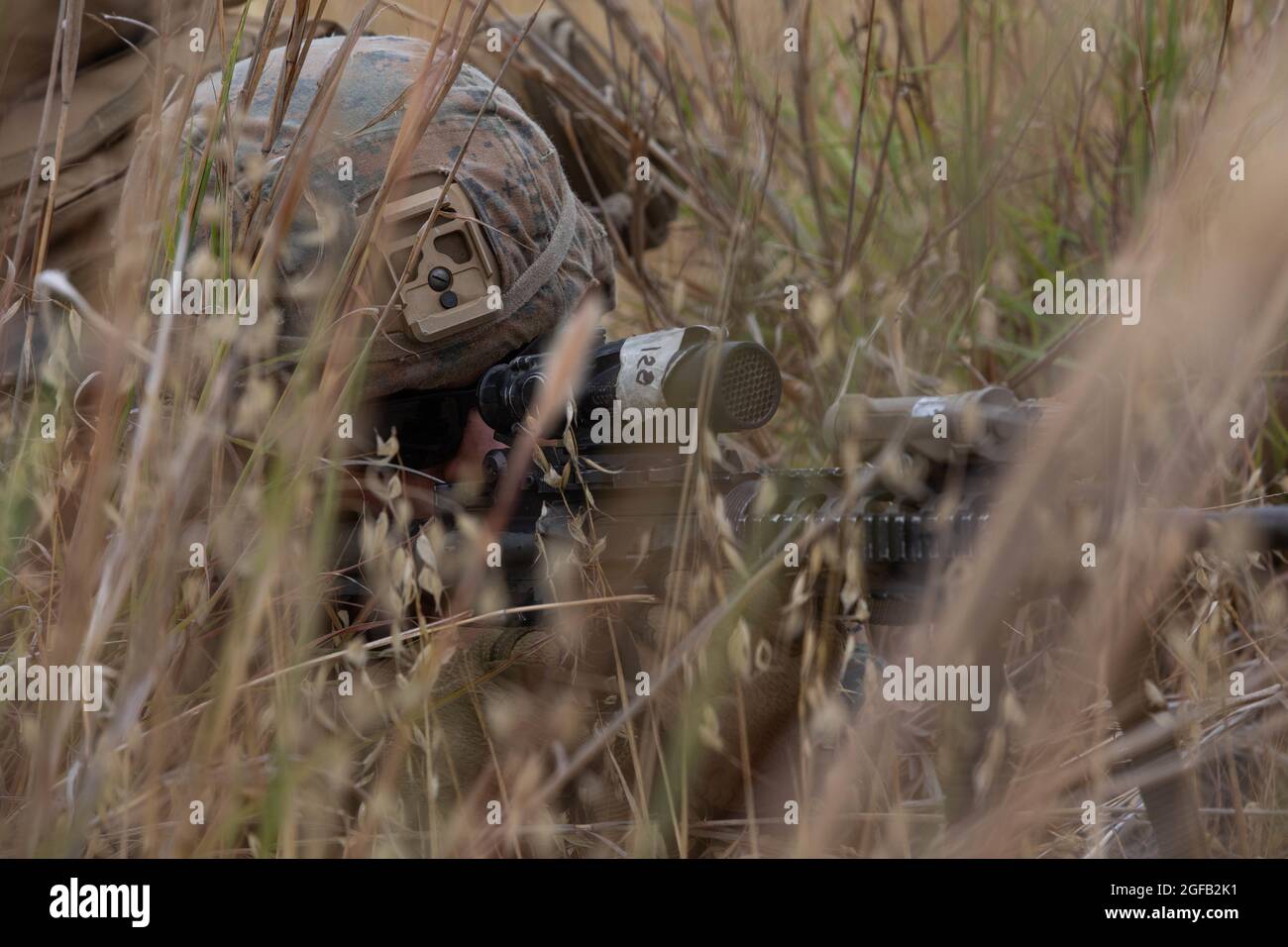 Herrera, un corpsman con 3d Light Armored Reconnaissance Battaglione, 1a Divisione Marina, pubblica sicurezza durante un'imboscata per Super Squad 21 al Marine Corps base Camp Pendleton, California, 23 agosto 2021. La competizione Super Squad valuta le capacità tattiche di una squadra di fucili in condizioni di combattimento simulate per determinare la squadra di fucili più efficace all'interno della divisione. (STATI UNITI Foto del corpo marino di Lance CPL. Cameron Hermanet) Foto Stock
