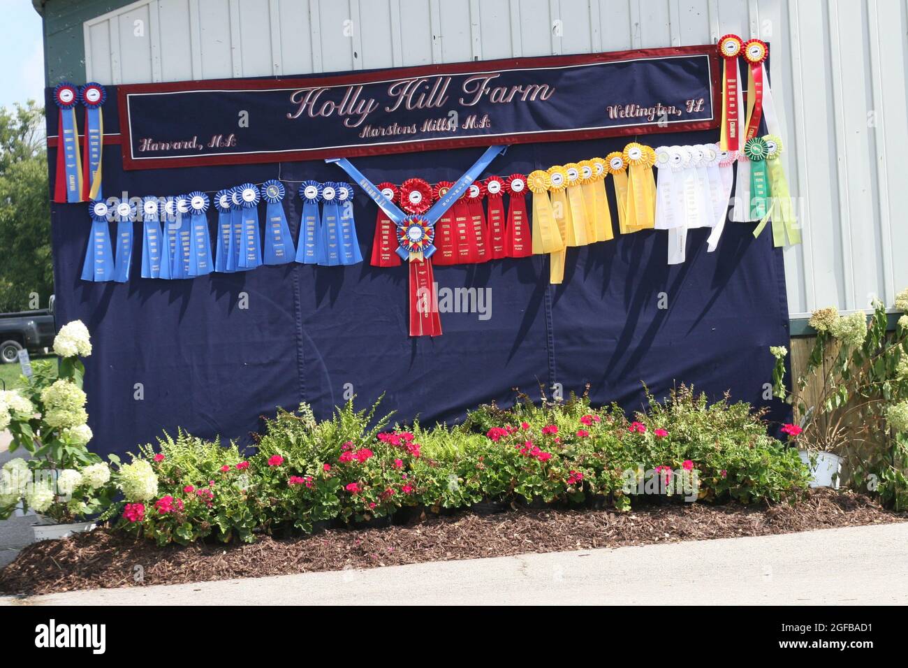 Nastri per spettacoli ed eventi in mostra nel Kentucky Horse Park. Foto Stock