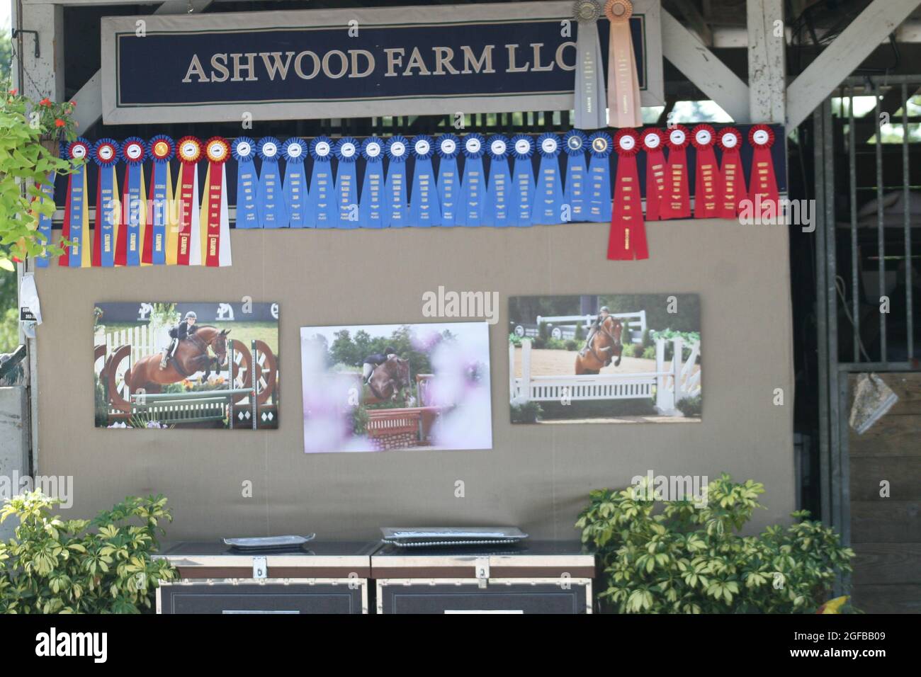 Nastri per spettacoli ed eventi in mostra nel Kentucky Horse Park. Foto Stock