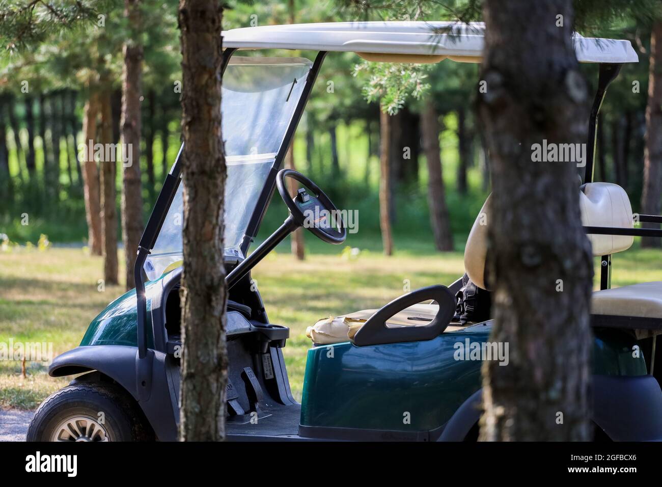Bielorussia. Minsk - 24.07.2021 l'auto elettrica sul campo da golf si trova all'ombra degli alberi. Foto Stock