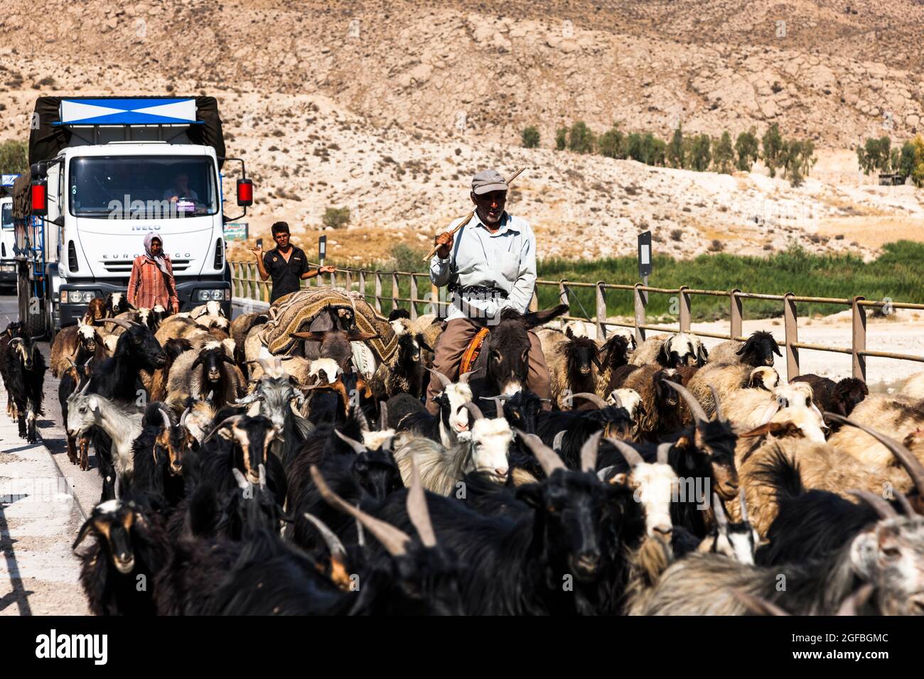 Ingorghi pesanti dovuti ad un gregge di capre sul ponte Fahlian, strada 86 vicino Nourabad, provincia di Fars, Iran, Persia, Asia occidentale, Asia Foto Stock