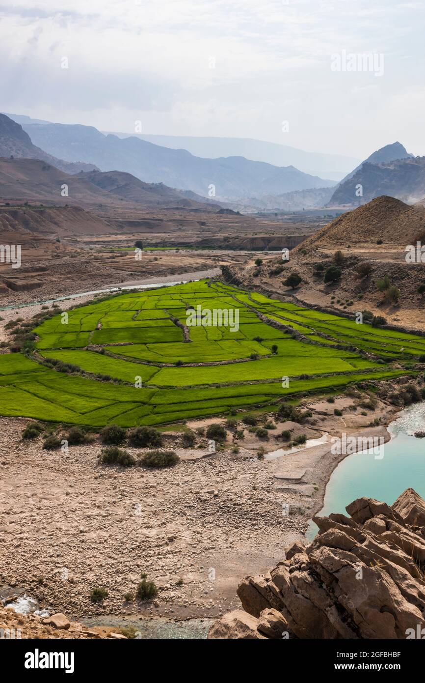 Fiume di maroon e campo di riso nelle montagne di Zagros, strada 63 vicino Kalat, Kohgiluyeh e provincia Boyer-Ahmad, Iran, Persia, Asia occidentale, Asia Foto Stock