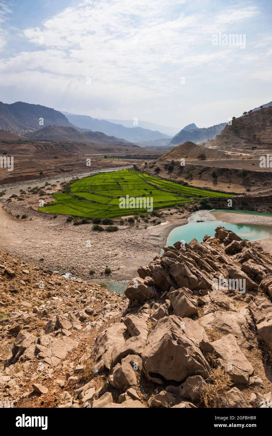 Fiume di maroon e campo di riso nelle montagne di Zagros, strada 63 vicino Kalat, Kohgiluyeh e provincia Boyer-Ahmad, Iran, Persia, Asia occidentale, Asia Foto Stock