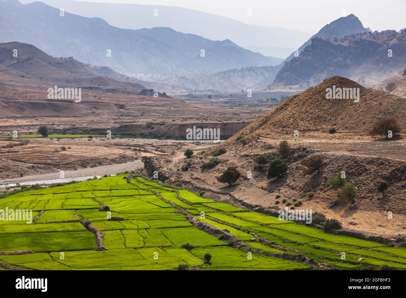 Fiume di maroon e campo di riso nelle montagne di Zagros, strada 63 vicino Kalat, Kohgiluyeh e provincia Boyer-Ahmad, Iran, Persia, Asia occidentale, Asia Foto Stock