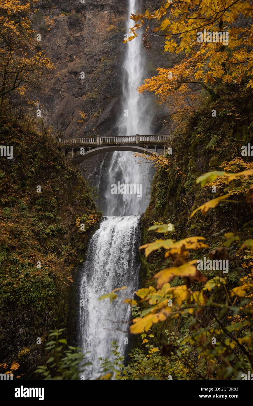 Colore delle foglie autunnali e fogliame autunnale nelle splendide e famose cascate Multnomah Falls, Columbia River Gorge, Oregon Foto Stock