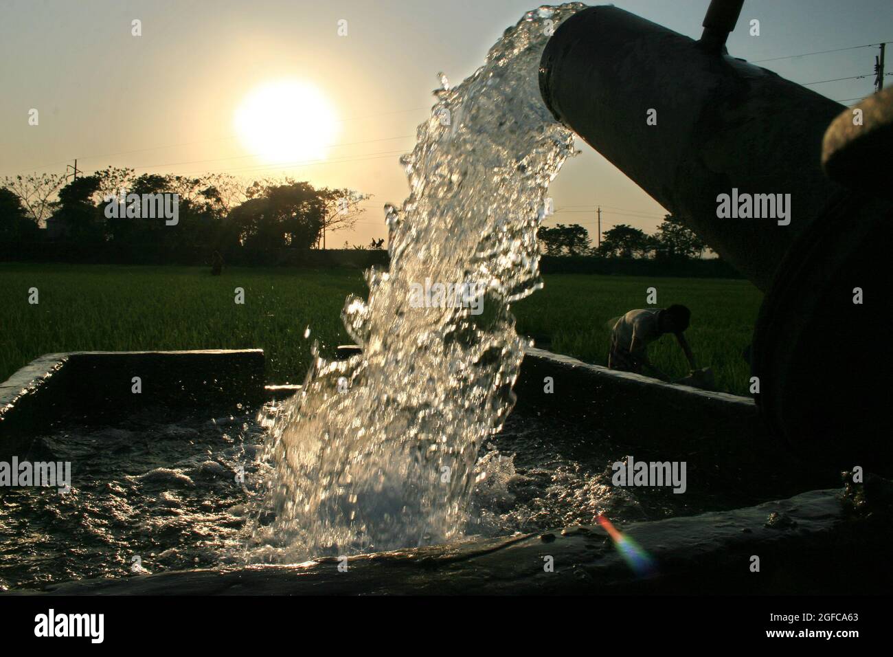 L’uso della tecnologia moderna nell’irrigazione non è una novità in Bangladesh. Coltivatori usano i tubewells profondi per pompare l'acqua dalla terra per approvvigionare ai loro campi. Ma a causa dell’enorme carenza di elettricità, gli agricoltori hanno difficoltà a fornire energia alle loro macchine. Keranogang, Dhaka. Marzo 18 2007. Foto Stock