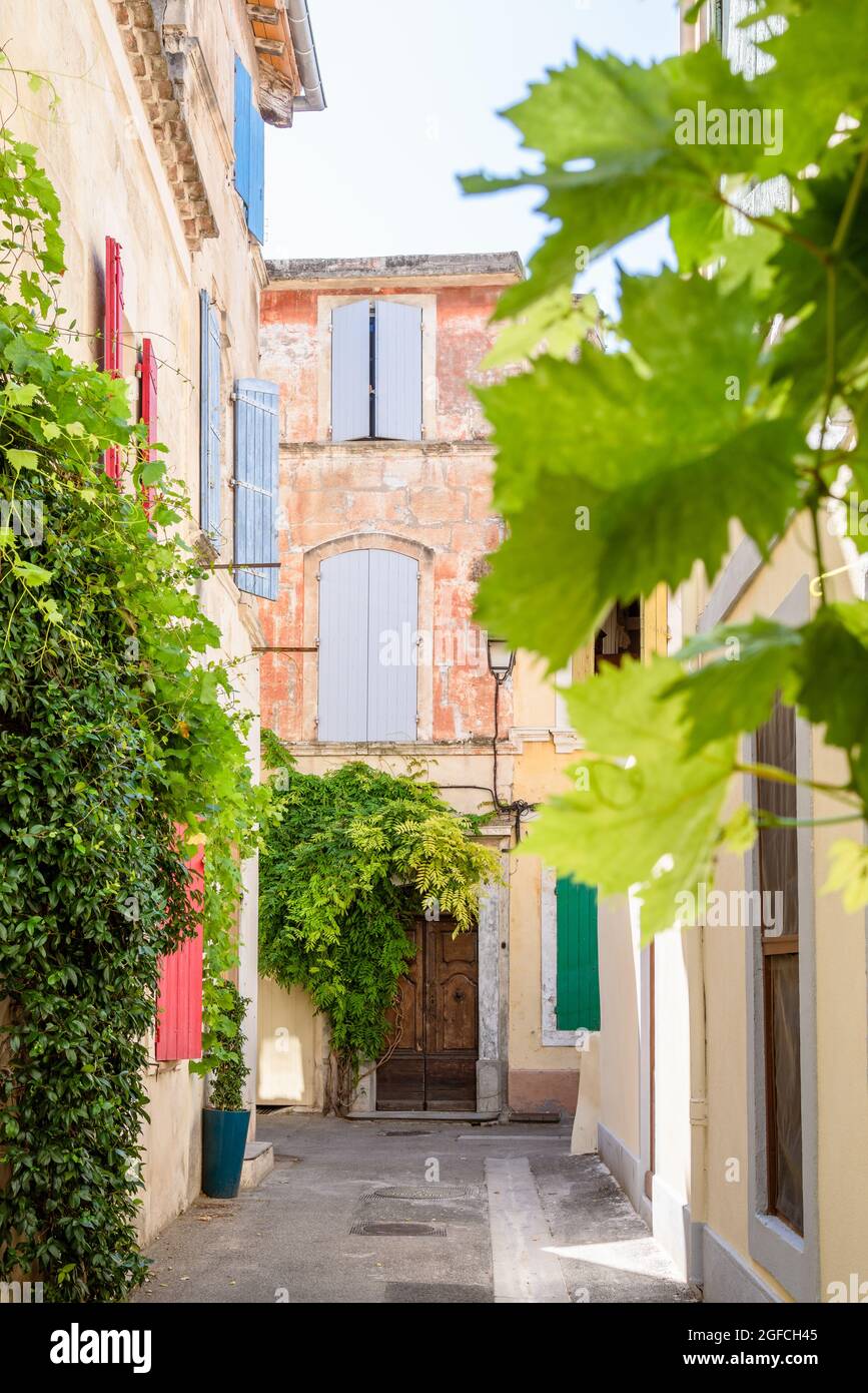 Vista verticale di una bella strada con foglie verdi ad Arles, Provenza, Francia. Sfocatura del primo piano. Foto Stock