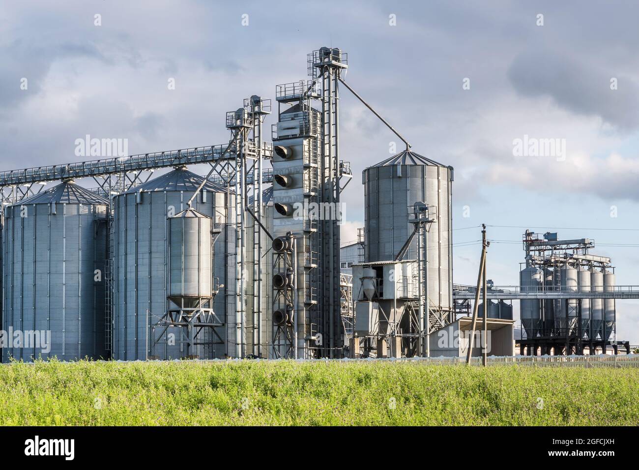 Moderno ascensore Granary e linea per la pulizia dei semi. Silos argentei su agro-processing e impianto di produzione per stoccaggio e lavorazione essiccazione pulizia di Foto Stock