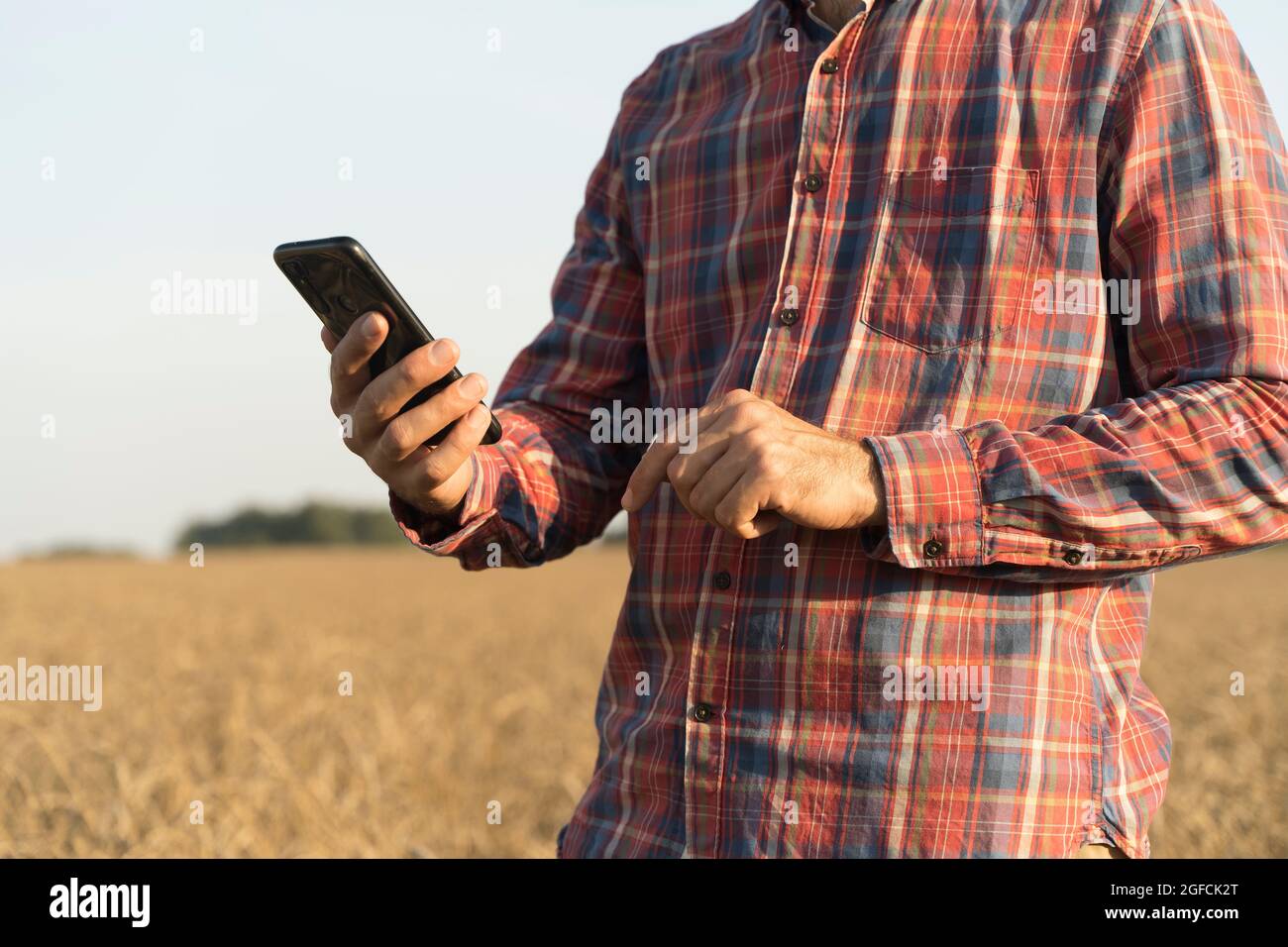 Agricoltore con uno smartphone in mano sullo sfondo di un campo di grano durante la raccolta. Concetto di tecnologie agroalimentari e agroalimentari. Foto di alta qualità Foto Stock