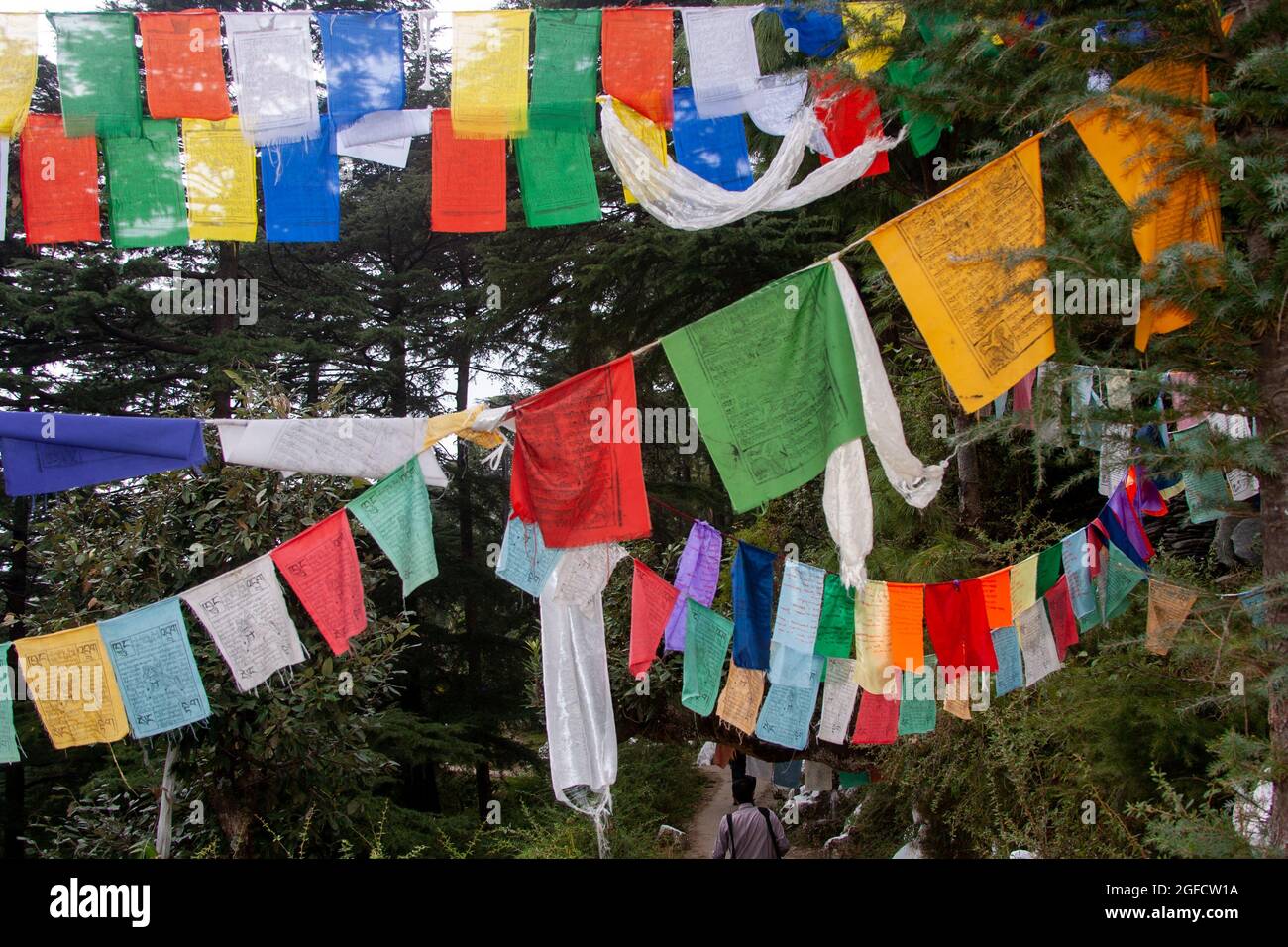 Bandiere di preghiera tibetane al tempio di Dalai lama, Dharamsala, Himachal Pradesh, India Foto Stock